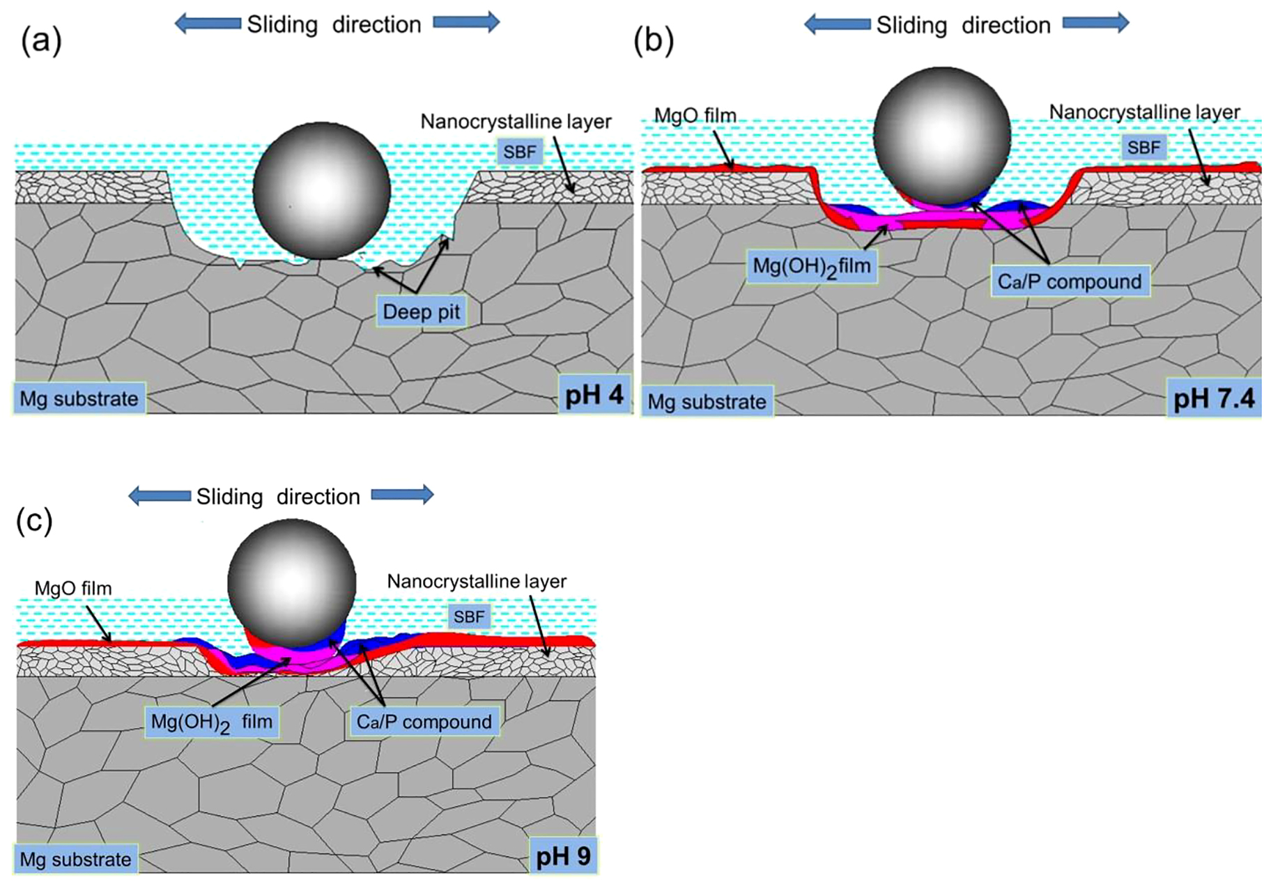 Figure 7: 
					Wear diagrams of LSP specimen in SBF with three pH values.
				