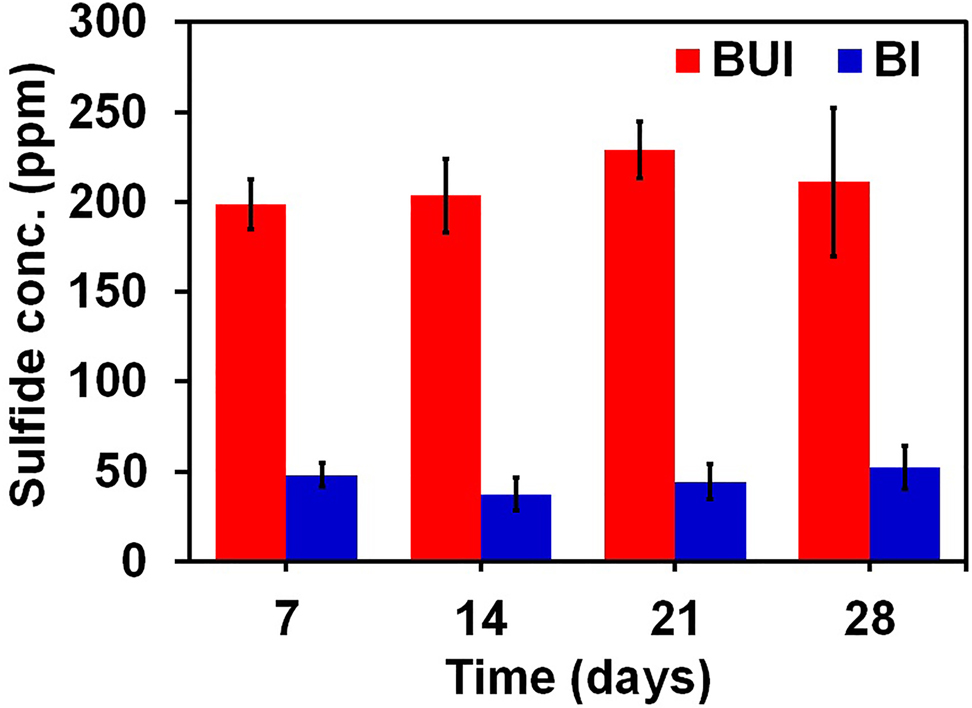Figure 2: 
						Effect of immersion time on dissolved sulfide concentrations for low-carbon steel in BUI and BI medium.
					