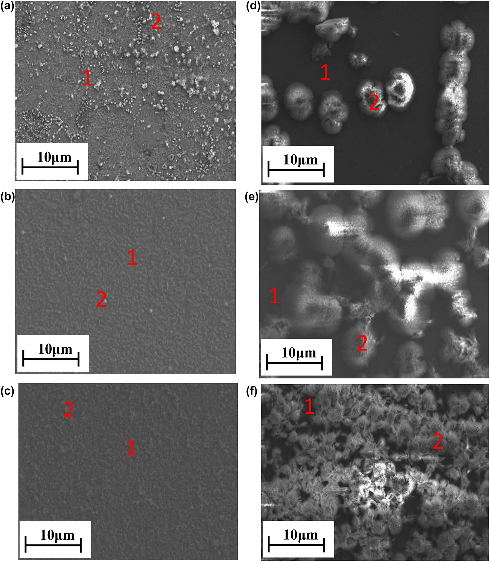 Figure 3:
SEM images of golden alloy in the blank (a–c) and 10−2 M cysteine inhibited (d–f) solution for 10, 20, and 30 days of immersion, respectively.