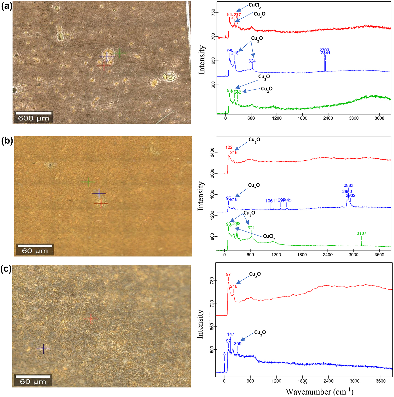 Figure 4:
Raman images of golden alloy in 3.5 wt% NaCl (a–c) 10, 20, and 30 days of immersion, respectively with their respective Raman spectral curves.