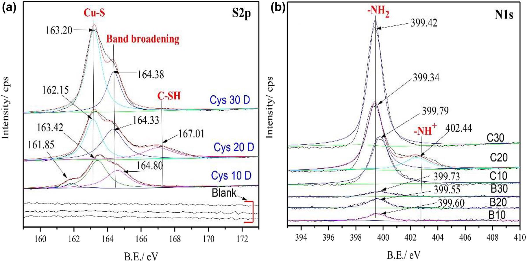 Figure 9:
XPS S2p (a), N1s (b) spectra of golden alloy surface in 3.5 wt% NaCl solution without and with cysteine inhibitors in different immersion times (10, 20, and 30 days).