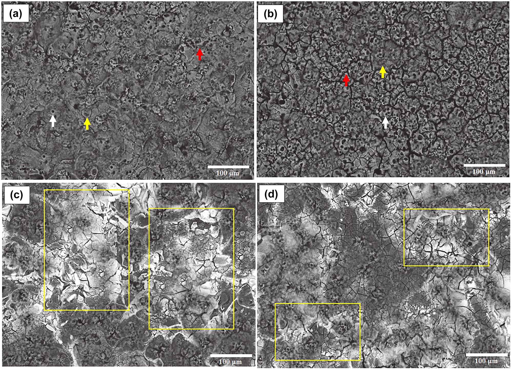Figure 6: 
					FE-SEM micrographs of PEO as-coated monolithic and composite samples: (a) P−AlM, (b) P−Al10Nb and after immersion coated monolithic (c) and coated composite (d) samples.
				