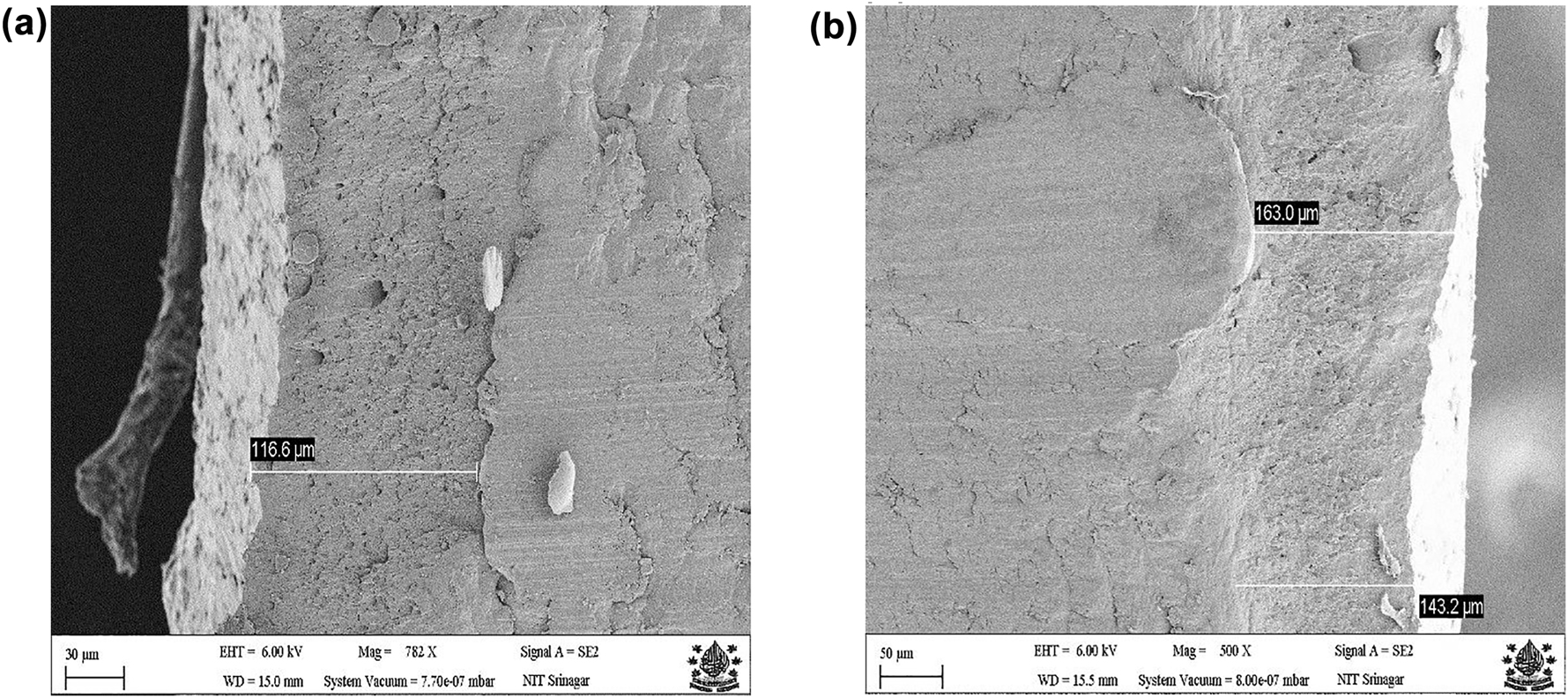 Figure 1: 
						Cross-sectional FESEM image of  (a) of  of Zn–Ni–Cu; (b) Zn–Ni–Cu–TiB2 on mild steel specimens.
					