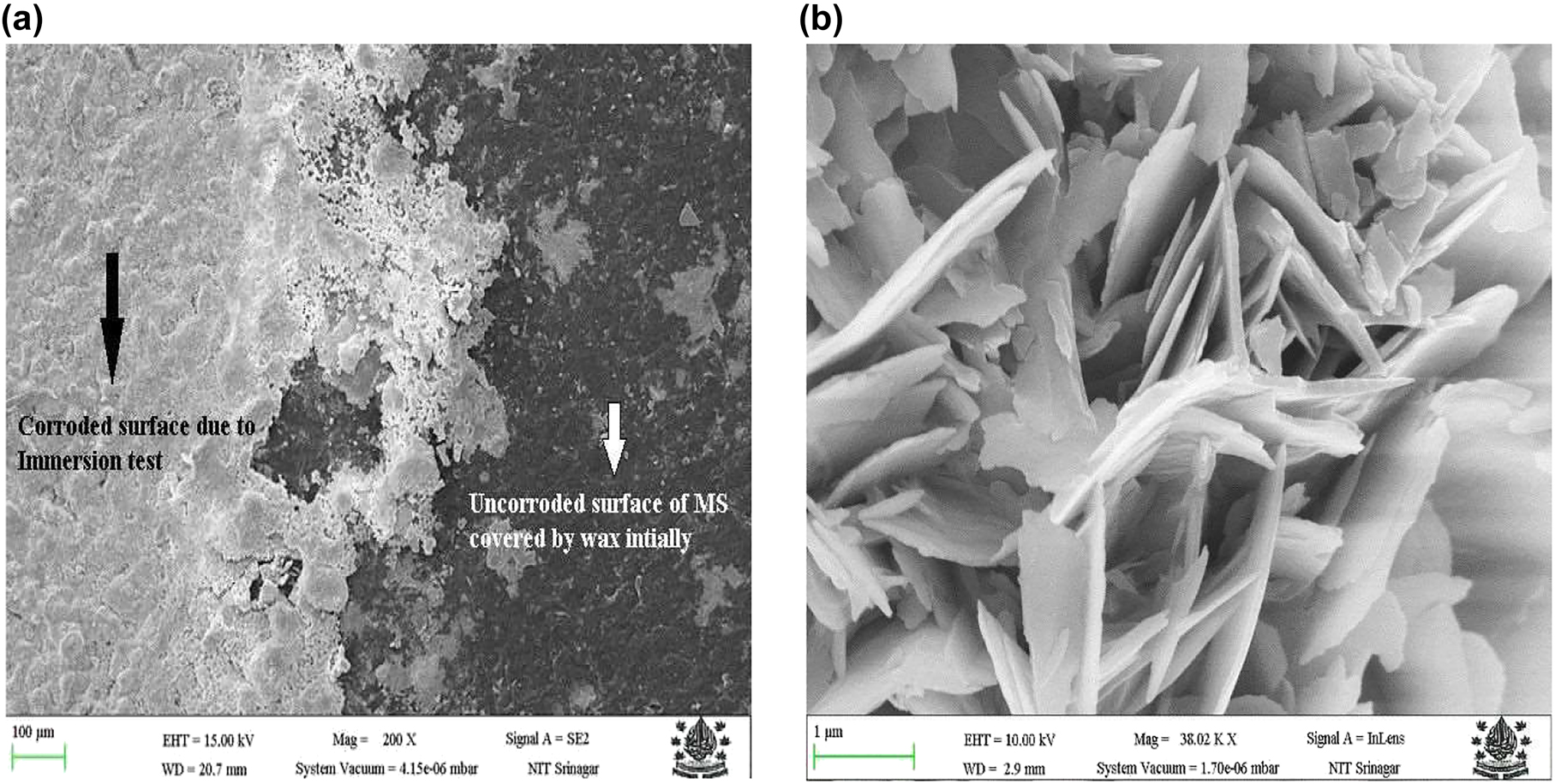 Figure 8: 
							FESEM analysis of uncoated mild steel (a) specimen showing corroded/uncorroded uncoated surface (b) high resolution image of corroded uncoated mild steel.
						