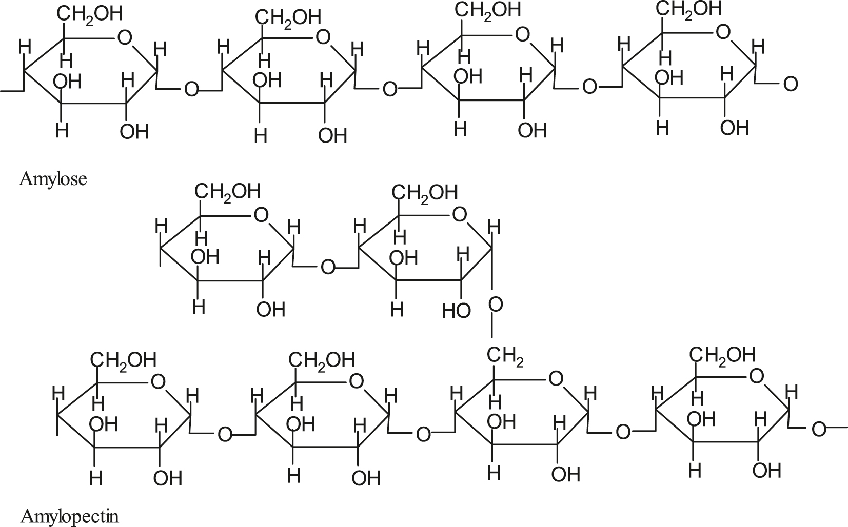 Figure 3: 
						Structure of starch (Inh-3).
					