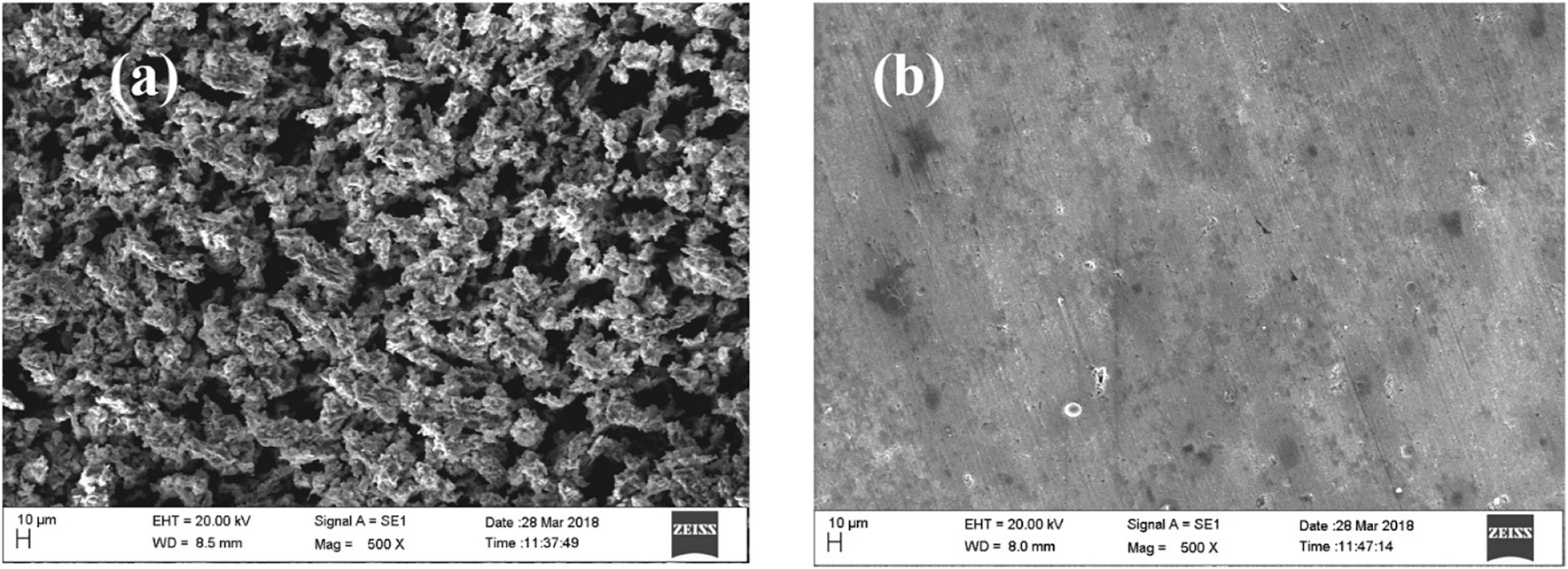 Figure 9: 
						SEM images of (a) corroded and (b) inhibited sample.
					