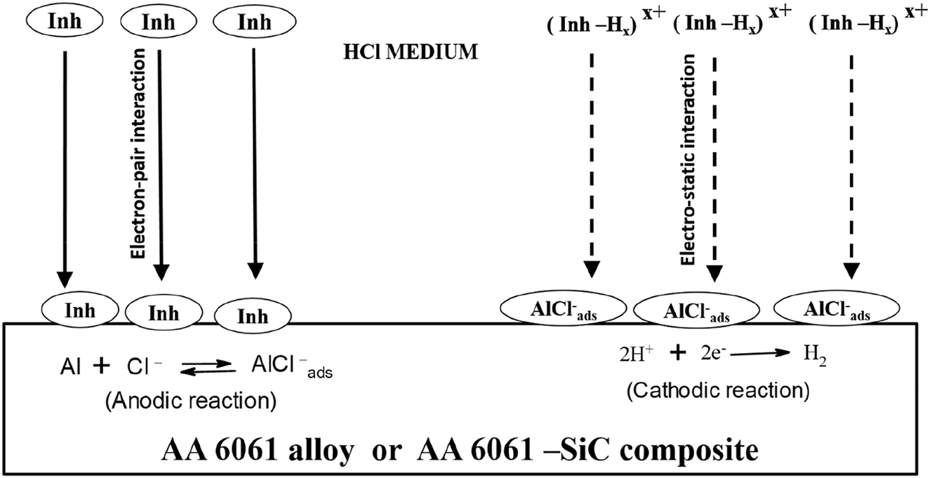 Figure 29: 
						Mechanism of corrosion inhibition in HCl medium.
					