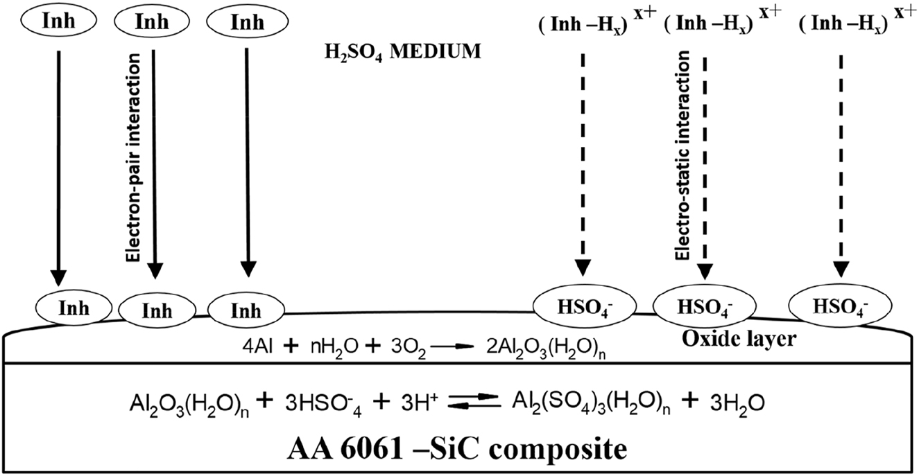 Figure 30: 
						Mechanism of corrosion inhibition in sulphuric acid medium.
					