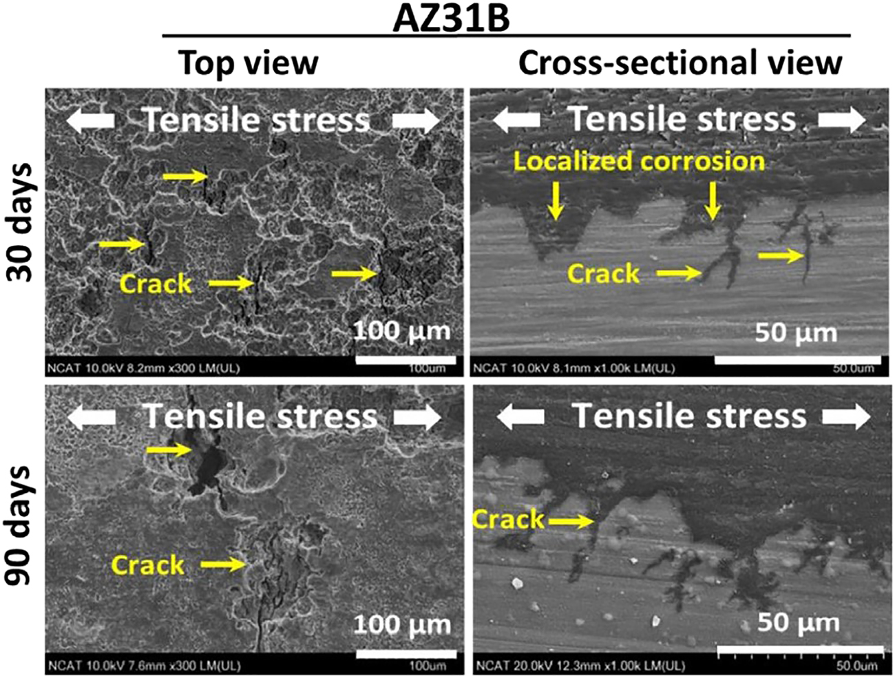 Figure 6: 
						Top view and the cross-sectional view of SCC in AZ31B alloy implants immersed in Hanks balanced salt solution (HBSS) under stress for 30 and 90 days. Reprinted from (Koo et al. 2017) with permission from Elsevier.
					