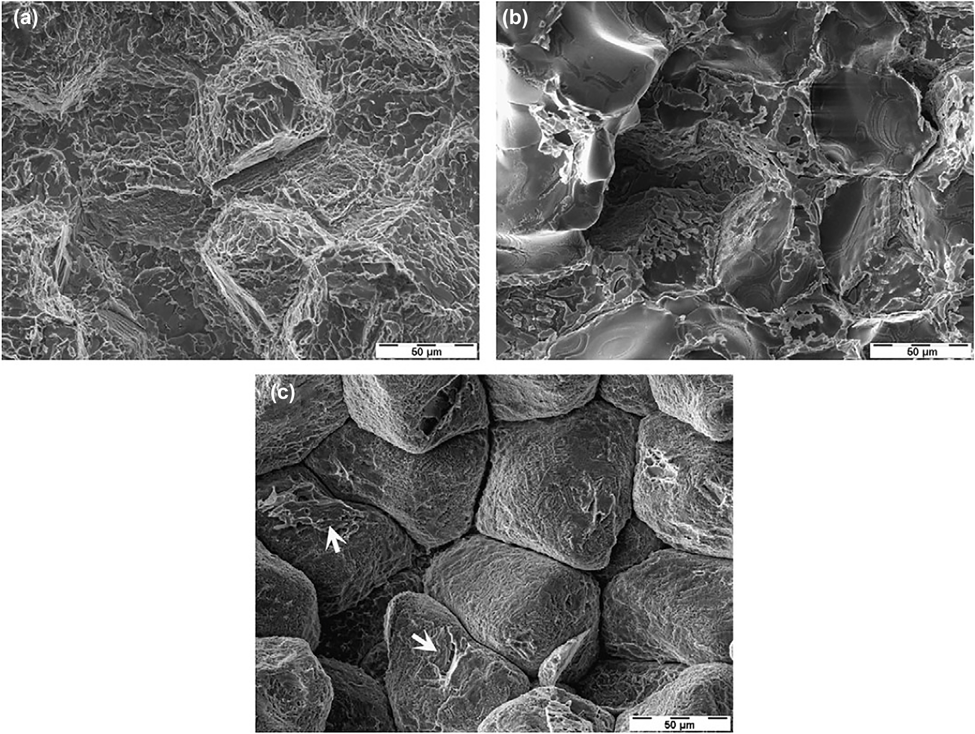 Figure 8: 
						Micrograph of ZE41 after (a) slow strain rate testing in air, (b) immersion in distilled water, (c) immersion in 0.5 wt% NaCl (arrows indicate transgranular cracking). Reprinted from (Kannan et al. 2008) with permission from Elsevier.
					