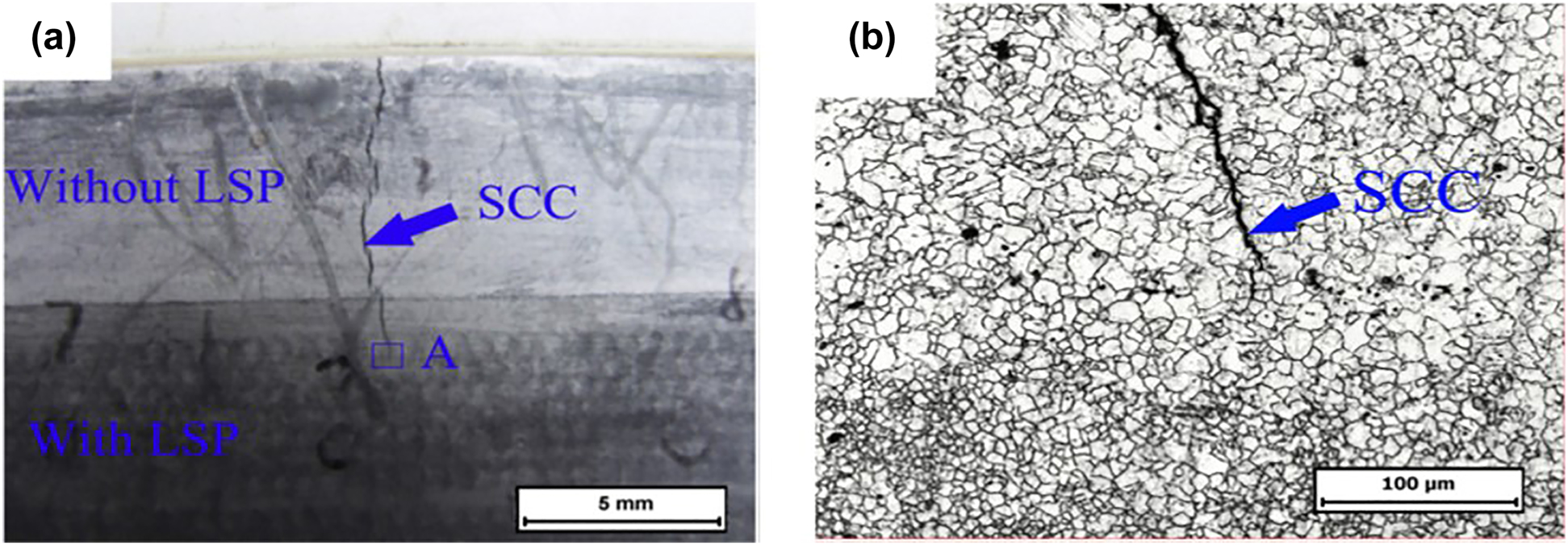 Figure 12: 
							Comparison of SCC crack propagation in AZ31B Mg alloy (a) with and without LSP (visual observation), (b) microstructure of rectangular region A in Figure 12a. Reprinted from (Zhang et al. 2010b) with permission from Elsevier.
						