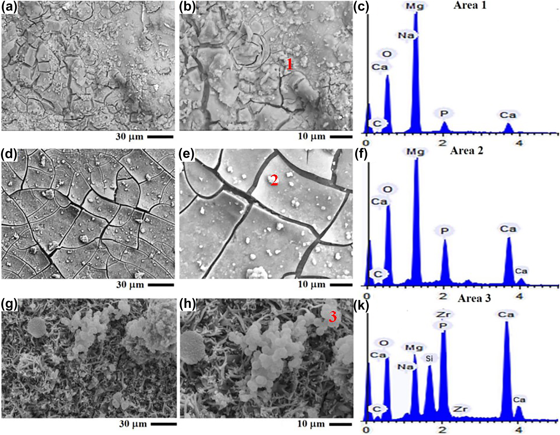 Figure 13: 
							Surface micrographs of (a, b) uncoated sample, (d, e) ZnO coated sample, (g, h) ZnO/Ca3ZrSi2O9 coated sample, (c, f, k) EDS analysis of marked area after 14 days immersion in SBF. Reprinted from (Bakhsheshi-Rad et al. 2017) with permission from Elsevier.
						