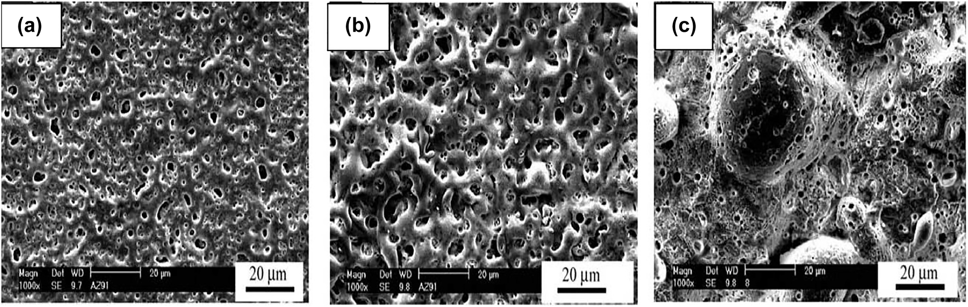 Figure 15: 
								The morphology of MAO coating after (a) 1 min, (b) 5 min, and (c) 20 min. Reprinted from (Zhang and Zhang 2009) with permission from Elsevier.
							