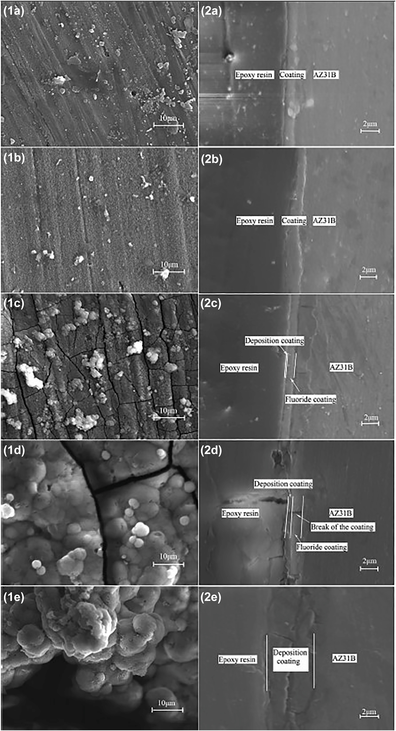 Figure 17: 
								Surface morphologies (1) and cross-sectional morphologies (2) of fluoride conversion coating on AZ31 alloy after (a) 5 days, (b) 20 days, (c) 45 days, (d) 90 days, (e) 120 days of immersion in simulated blood plasma. Reprinted from (Yan et al. 2014) with permission from Elsevier.
							