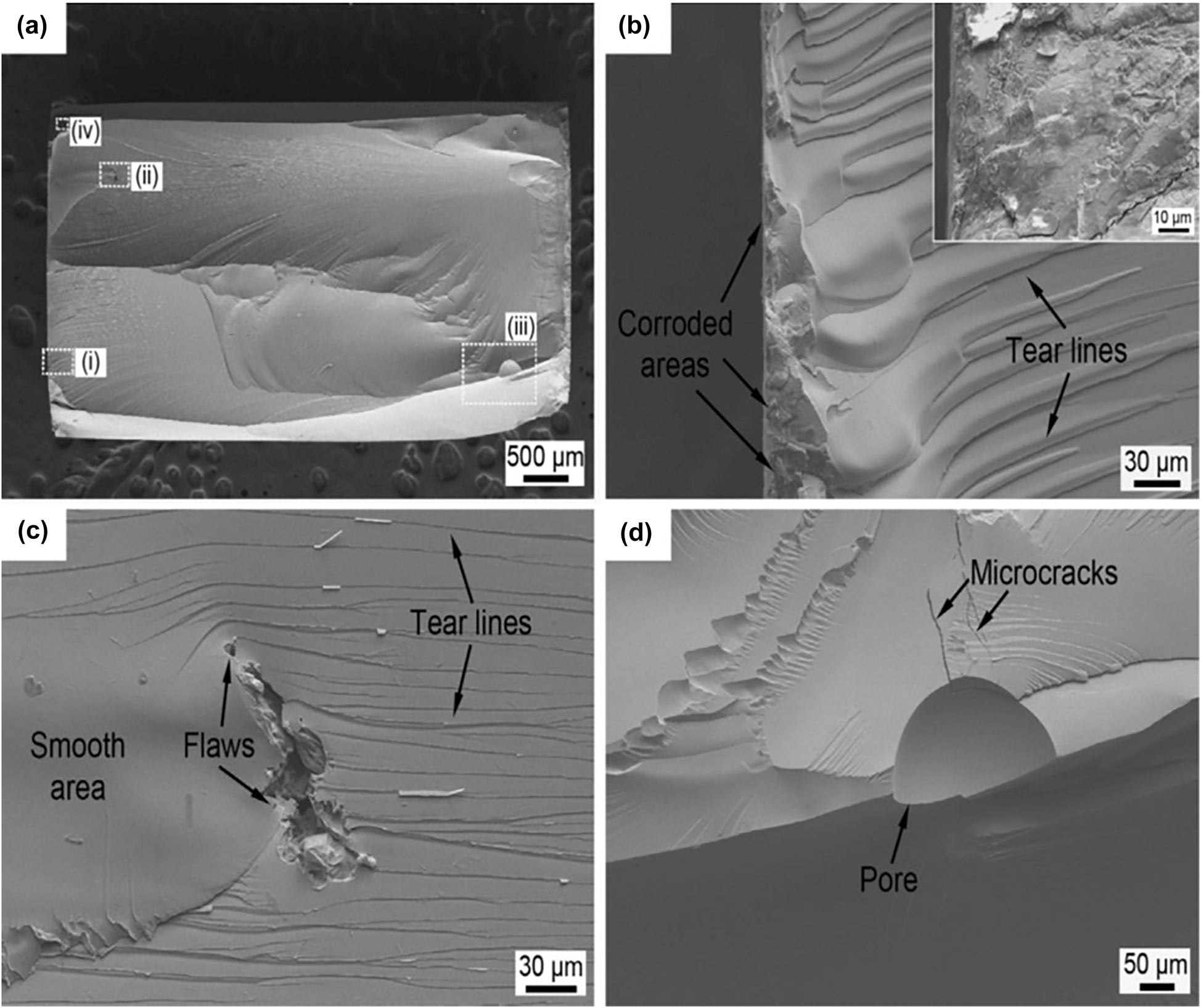 Figure 21: 
						SEM micrographs showing fatigue fracture morphologies of the Mg66Zn30Ca3Sr1 BMG tested in PBS (maximum stress = 250 MPa): (a) overall view of the failed specimen, (b–d) and the inset of Figure 21b are the magnified images for the regions (i), (ii), (iii) and (iv) in Figure 21a, respectively. Reprinted from (Li et al. 2016) with permission from Elsevier.
					
