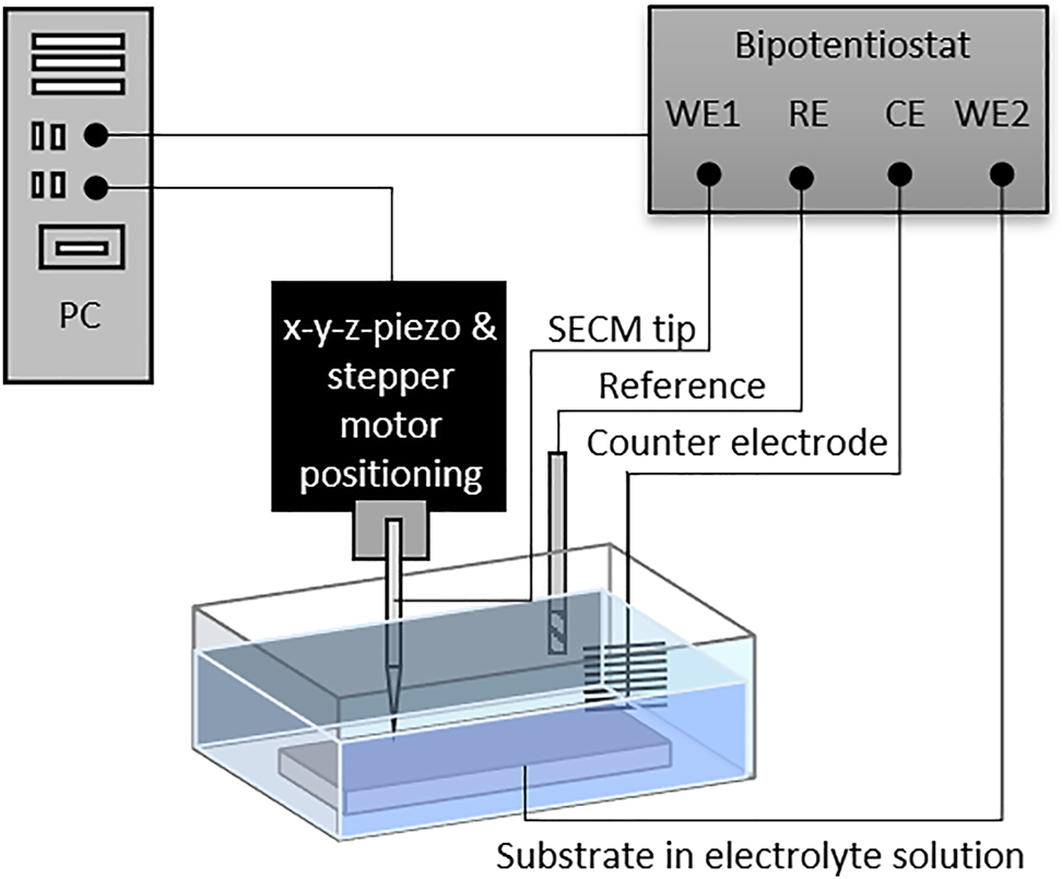 Figure 2: 
					Schematic representation of a typical SECM setup and electrode connections (WE, working electrode, RE, reference electrode, CE, counter electrode).
				