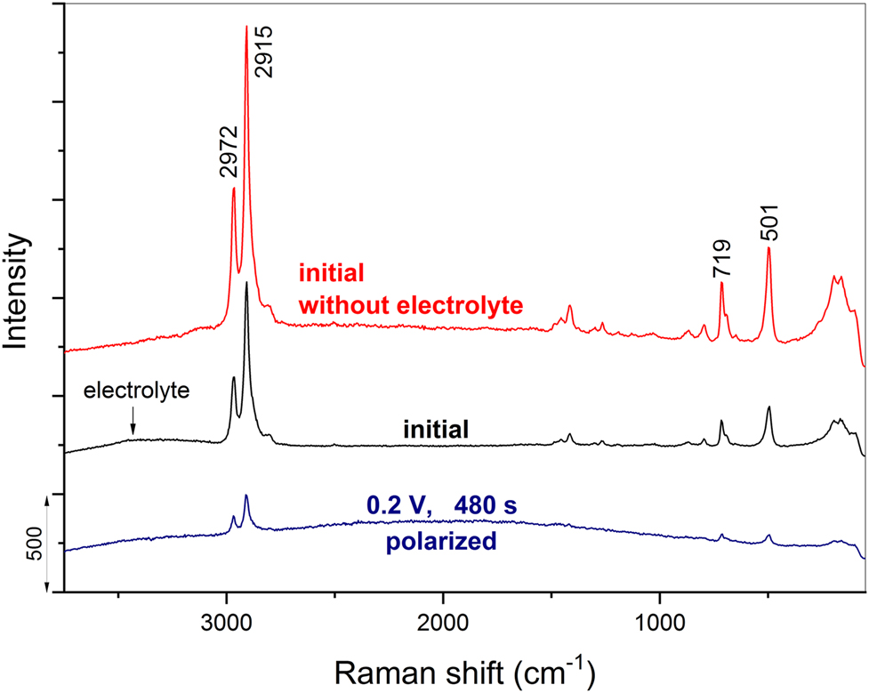 Figure 8: 
						Raman spectra of the initial state of the sol–gel/epoxy coating without electrolyte and when positioned in the 0.5 M NaCl electrolyte in the custom-made in situ Raman spectroelectrochemical cell. The in situ spectrum recorded at the most polarized potential of 0.2 V (480 s) is shown as well.
					