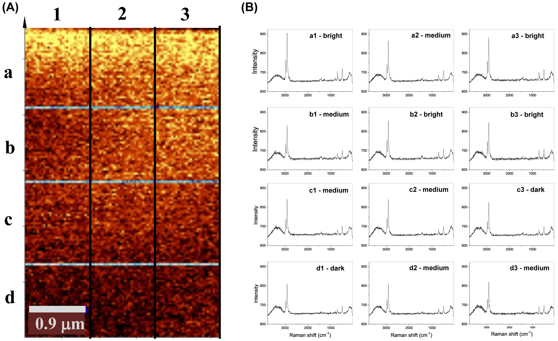 Figure 9: 
						
							In situ Raman spectroelectrochemistry. (A) Raman image of the sol–gel/epoxy coating polarized at 0.2 V. (B) Raman spectra extracted from various sites (bright, medium, dark) in different sections of the image.
					