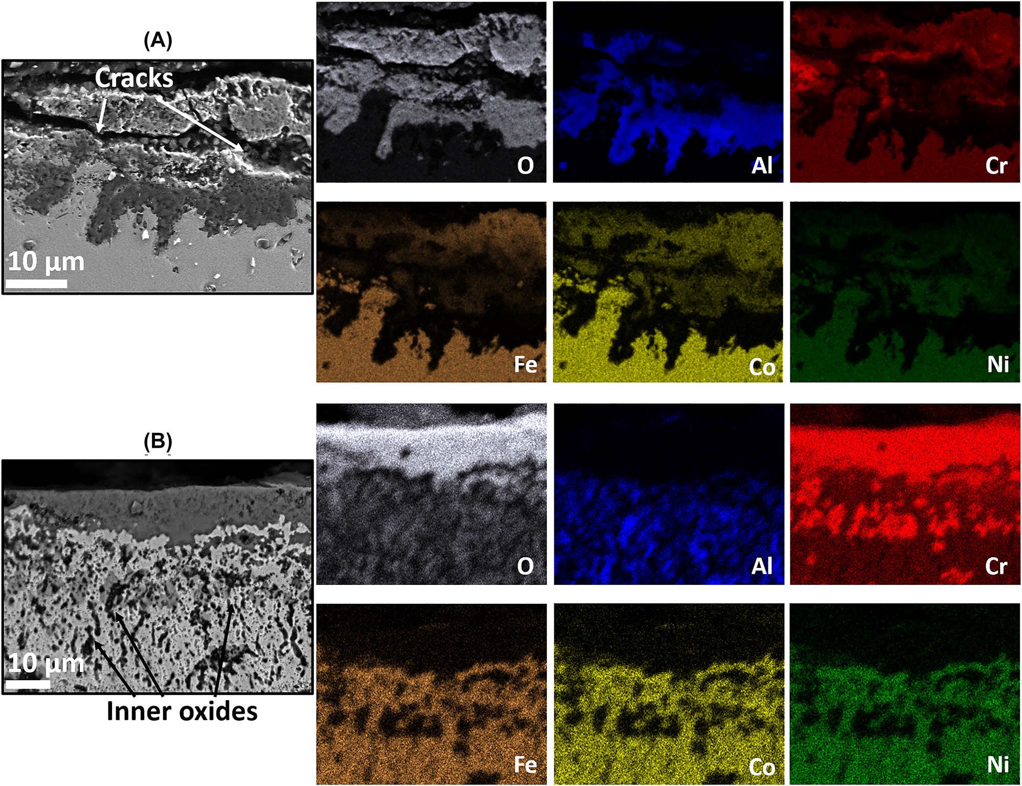 Figure 11:
BSE images with EDS analysis of (A) as cast and (B) 15min_1800 processed AlCoCrFeNi HEA specimen after oxidation at 1050 °C.