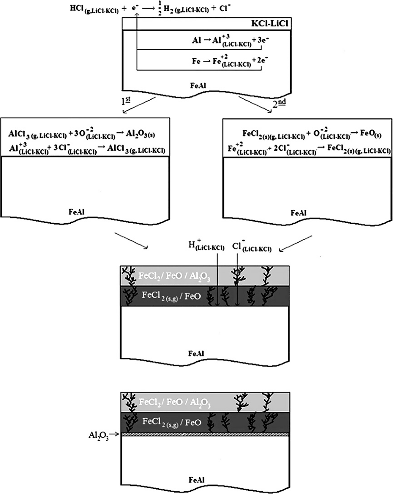 Figure 4:
Corrosion mechanism schema proposed for Fe–40 at.% Al intermetallics into electrolytic medium of LiCl–55 wt% KCl eutectic salt. Reprinted with permission from Elsevier (Barraza-Fierro et al. 2012).