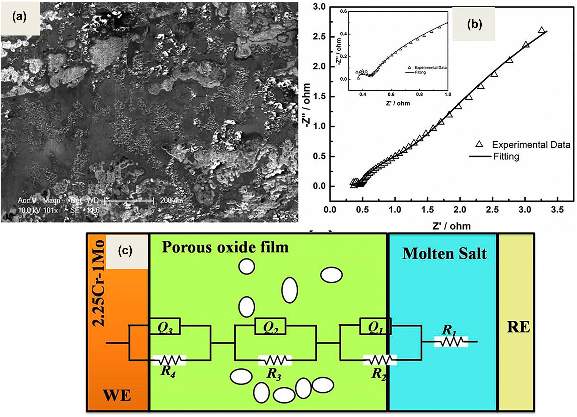 Figure 6:
Electrochemical monitoring of corrosion behaviour of alloys in LiCl-KCl molten salt: (a) SEM image of the 9Cr–1Mo steel after exposure to molten LiCl–KCl salt for 98 h; reprinted with permission of Elsevier (Jagadeeswara Rao et al. 2019); (b) Nyquist plot of 2.25Cr–1Mo at 90 h immersion in LiCl–KCl salt along with its fitting; (c) pictorial representation of the various equivalent circuit elements used for impedance data fitting of figure (b); reprinted with permission from Taylor & Francis Ltd. (Jagadeeswara Rao and Ningshen 2022).