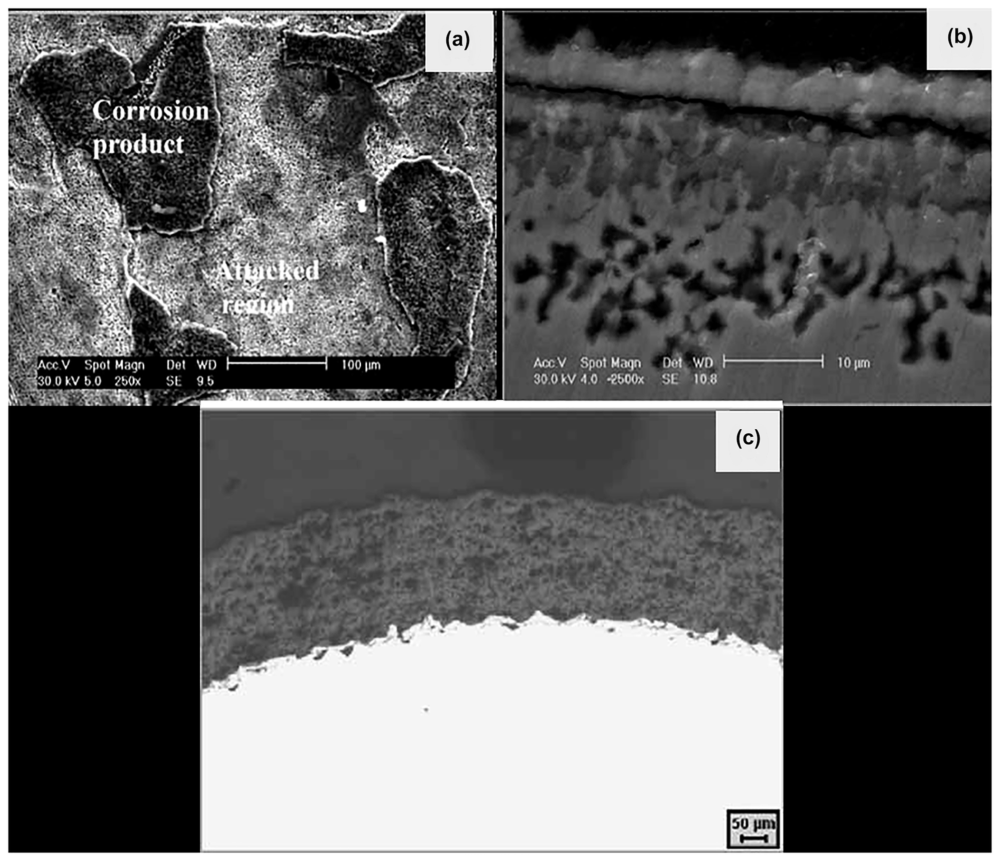 Figure 7:
Corrosion behaviour of 316L SS in LiCl-KCl salt at 600 °C: (a) SEM image of the 316L SS exposed to molten LiCl–KCl eutectic salt for 25 h; (b) cross-section image of the corroded 316L SS for about 250 h, and (c) cross-section image of the YSZ coated 316L SS exposed to LiCl–KCl for about 1000 h. Reprinted with permission from John Wiley & Sons (Ravi Shankar and Kamachi Mudali 2008).