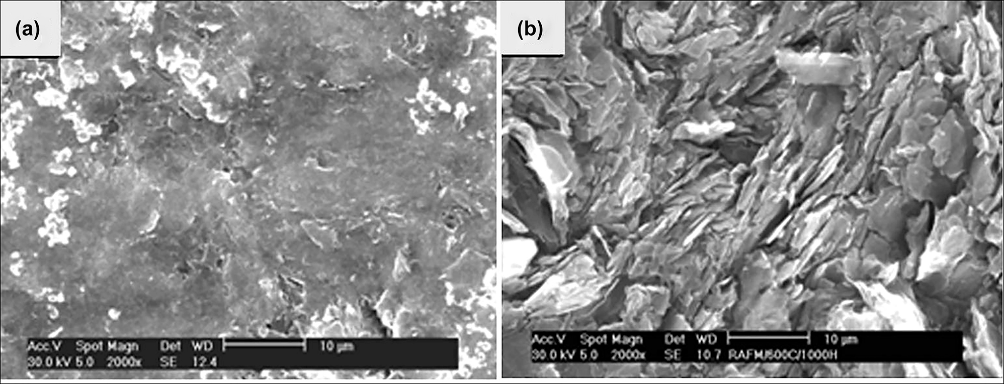 Figure 8:
SEM images of (a) as received and (b) corrosion tested HD graphite in molten LiCl–KCl salt at 600 °C for about 2000 h. Reprinted with permission from Elsevier (Jagadeesh et al. 2012a).