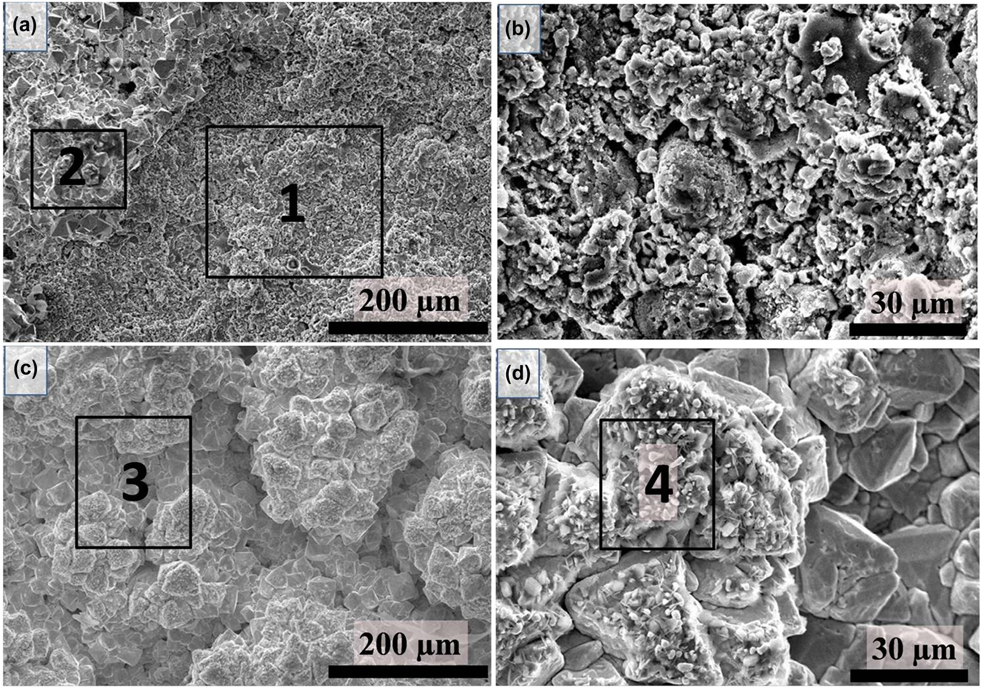 Figure 9:
Surface morphology images YSZ-coated 9Cr–1Mo steel after exposure to UCl3–LiCl–KCl molten salt at 600 °C for (a) and (b) 1000 h; (c) and (d) 2000 h. Reprinted with permission from Springer Nature (Jagadeeswara Rao et al. 2017b).