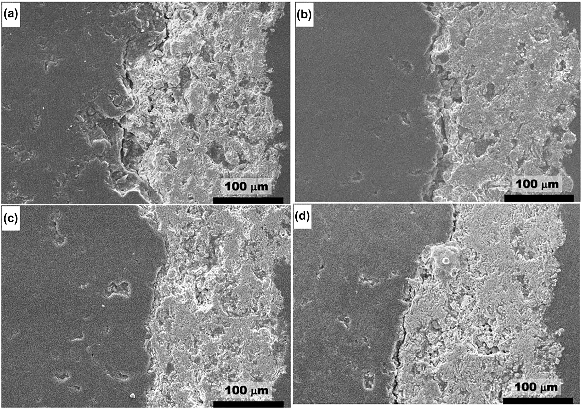Figure 10:
SEM cross-section images of the YSZ coated HDG rods with SiC interlayer coating after exposure to molten salt: (a) Exposed for 50 h; (b) for 500 h; (c) for 2000 h and (d) for 3500 h duration. Reprinted with permission from Springer Nature (Jagadeeswara Rao et al. 2018a).