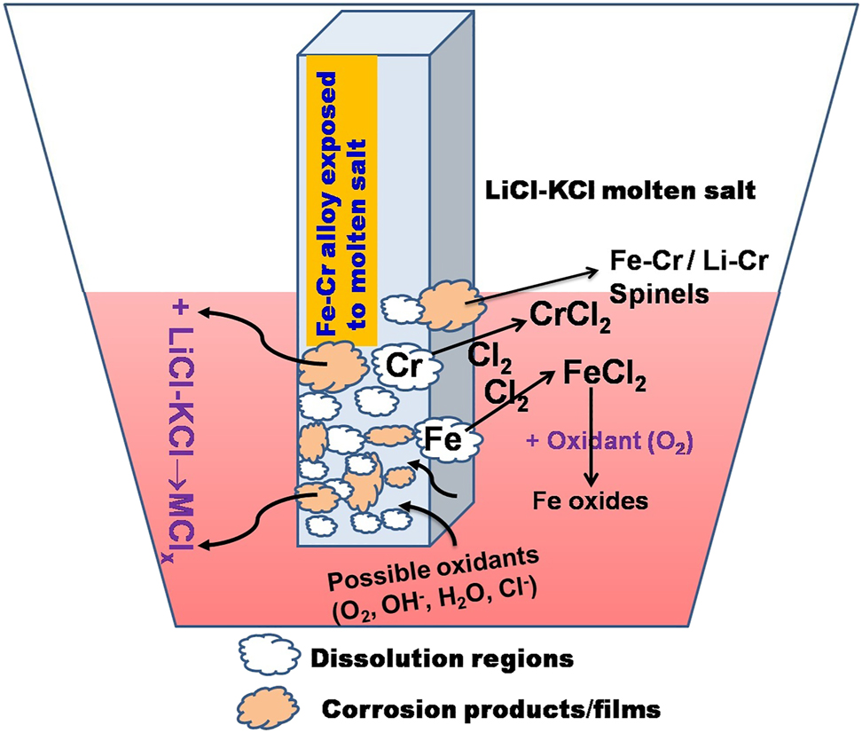 Figure 11:
Typical corrosion processes occur at the alloy when exposed to molten LiCl–KCl eutectic salt at high temperatures.