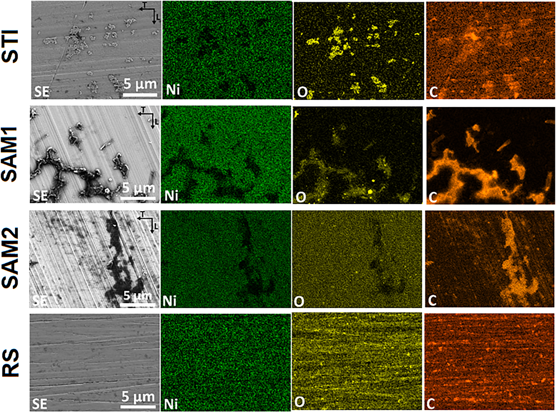 Figure 6:
EDS mapping of RS surface in T-L plane of CW 316L SS showing main alloying elements and surface contamination by C and O.