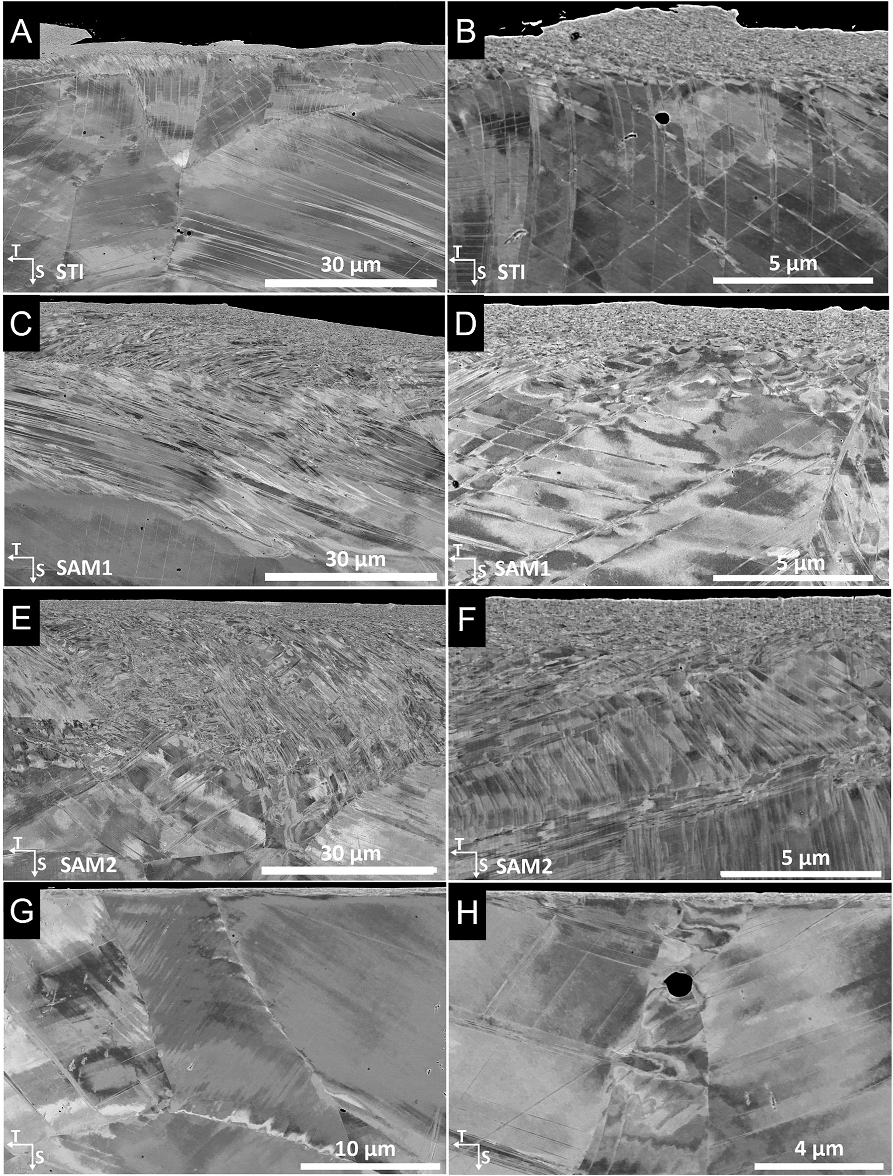 Figure 7:
BSE images obtained from cross-sectional specimens showing the near-surface machining-induced UFG and deformed layers generated from the STI, SAM1, SAM2 and RS processes, as well as the deformed region associated with the CW along the T-S plane for the CW 316L SS.