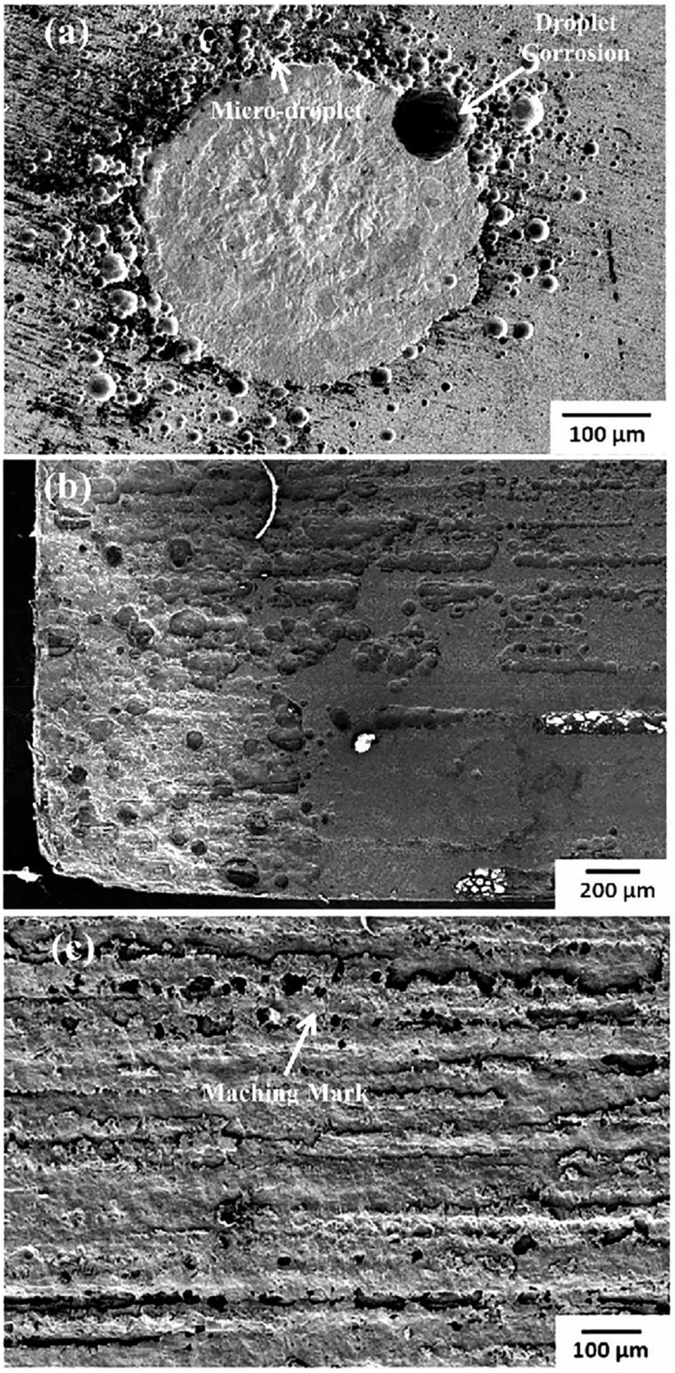 Figure 10: 
							Corrosion morphology of 316L (EP) with a mixture of H2O and HCl: (a) 720 h, (b) 1848 h, (c) 4224 h (Lequien and Moine 2021). Reprinted with permission; copyright 2021 John Wiley and Sons.
						