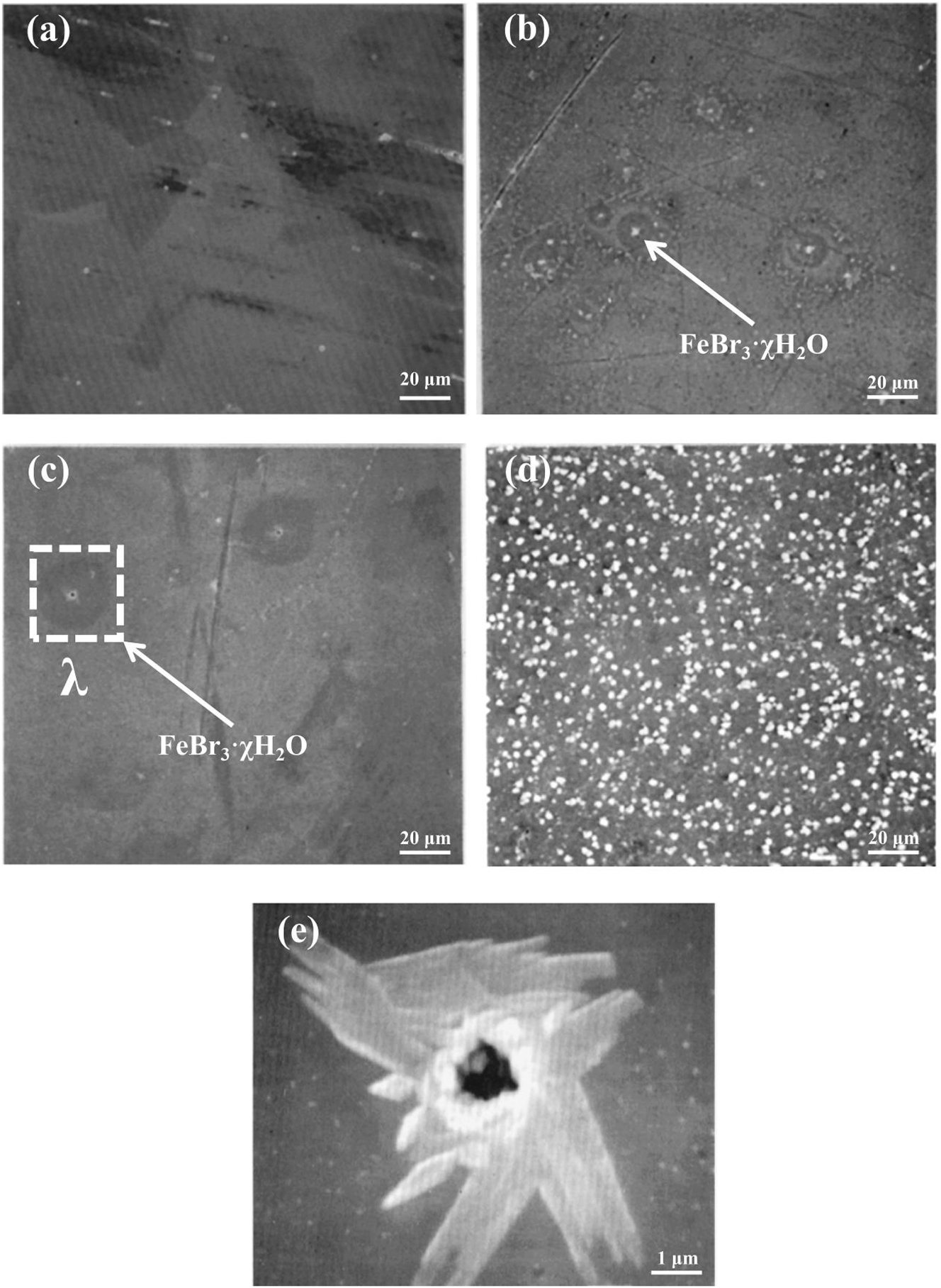 Figure 11: 
							Corrosion morphology of 316L (EP) with hydrogen bromide gas containing different moisture concentrations: (a) 0.2 ppm, (b) 10 ppm, (c) 100 ppm, (d) 1000 ppm, (e) enlarged view of area λ (Fine et al. 1995). Reprinted with permission; copyright 1995 IOP Publishing.
						