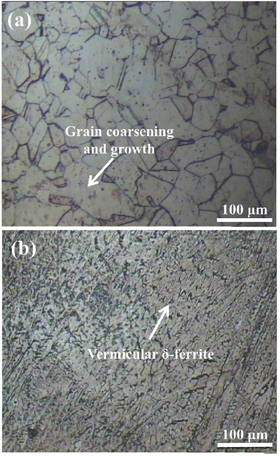Figure 12: 
							Microstructure of welded joints by TIG: (a) heat affected zone, (b) weld (He and Xing 2019). Reprinted with permission; copyright 2019 IOP Publishing.
						