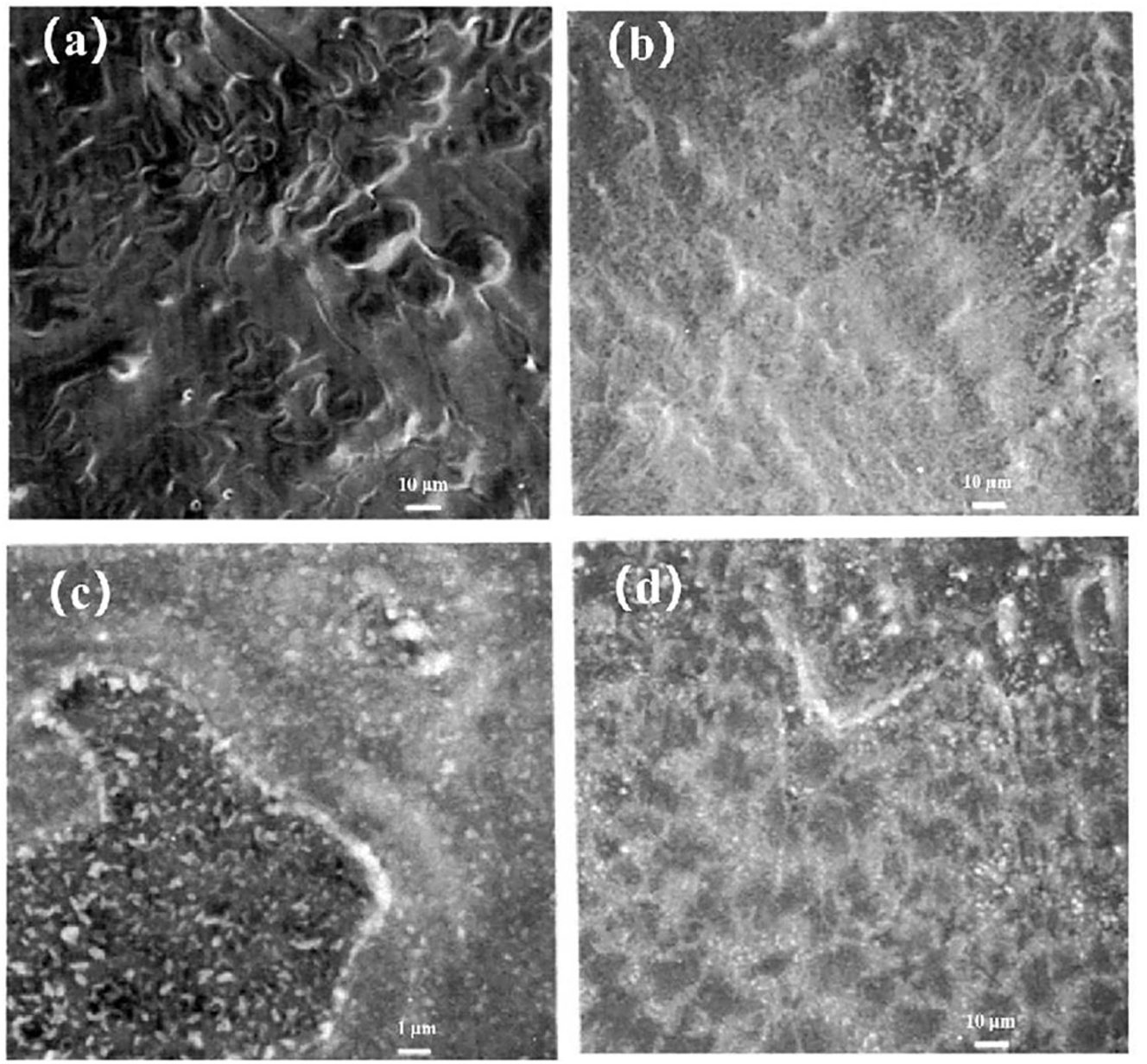 Figure 13: 
							Corrosion morphology of 316L (EP) welded specimens: (a) 0.5 ppm, (b) 10 ppm, (c) 100 ppm, (d) 1000 ppm (Fine et al. 1995). Reprinted with permission; copyright 1995 IOP Publishing.
						