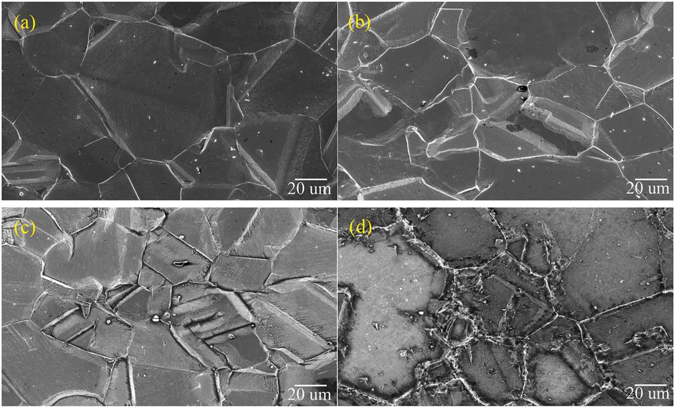 Figure 19: 
							Corrosion morphology of specimens immersed in 1 M hydrochloric acid for 7 days after the different thermal ageing time at 650 °C: (a) 0 h, (b) 1 h, (c) 5 h, (d) 48 h (Wang et al. 2021). Reprinted with permission; copyright 2021 Elsevier.
						