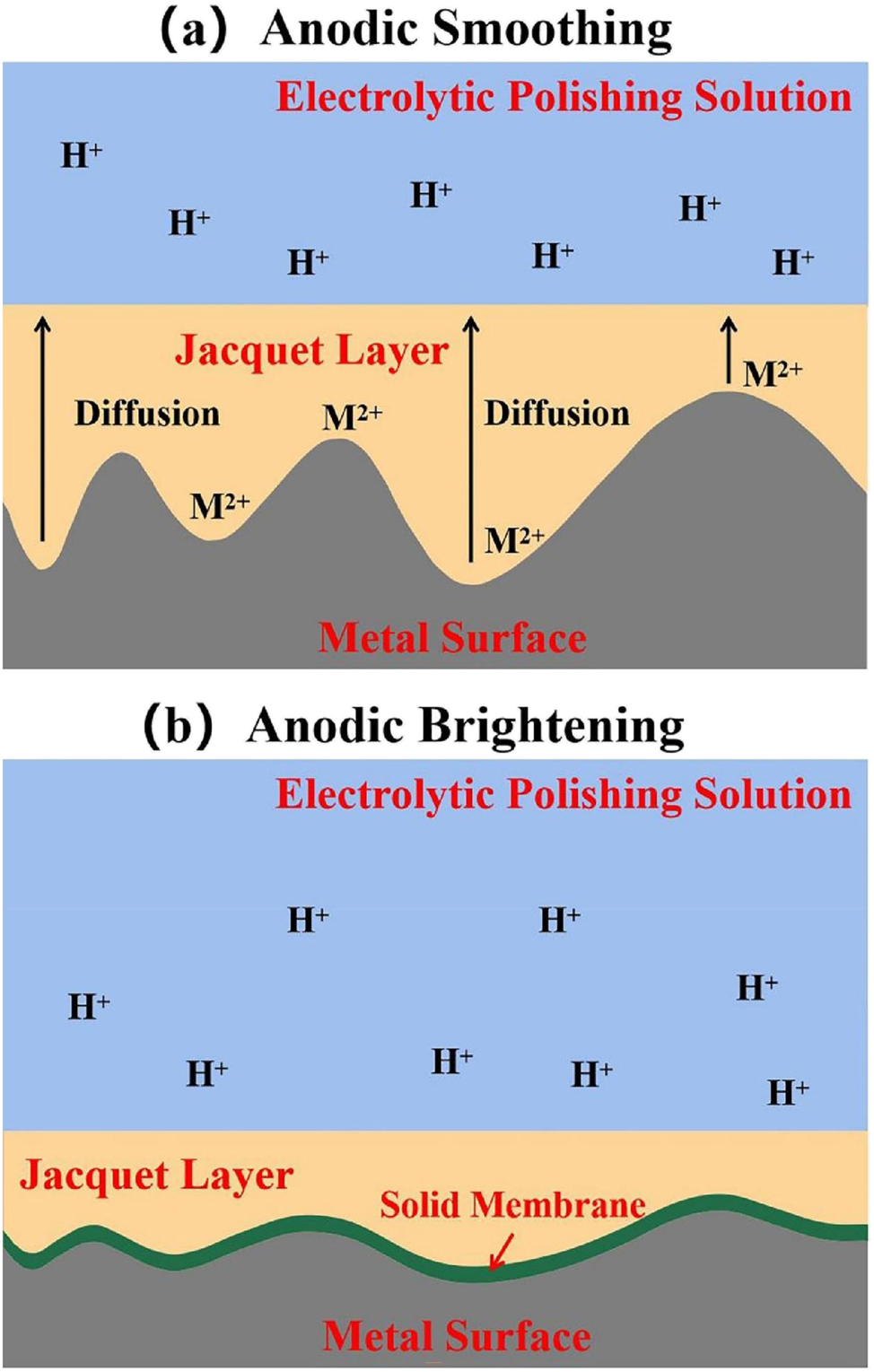 Figure 28: 
							Mechanisms of electrolytic polishing: (a) anodic smoothing, (b) anonic brightening.
						