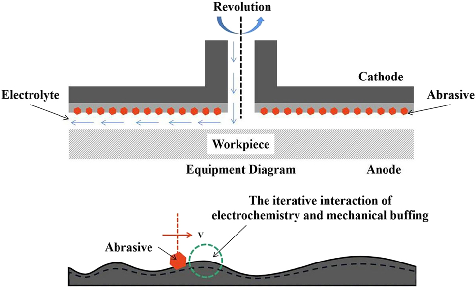 Figure 34: 
							Equipment and mechanisms of ECB.
						