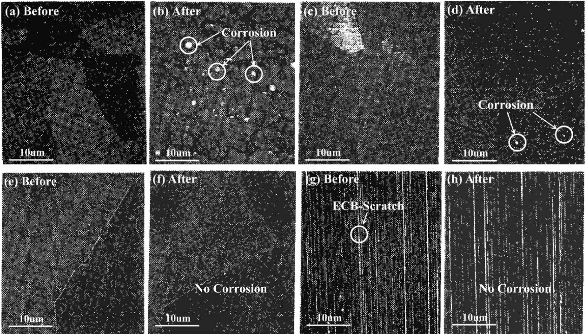 Figure 40: 
							Corrosion morphology of stainless steel with different surface treatments after 120 h of exposure to HBr (20 cc/min) gas at 120 °C: (a, b) 316L-EP, (c, d) HASTELLOY-EP, (e, f) FS9-EP-Cr2O3, (g, h) 316L-ECB-Cr2O3 (Shirai et al. 1994). Reprinted with permission; copyright 1994 IEICE.
						