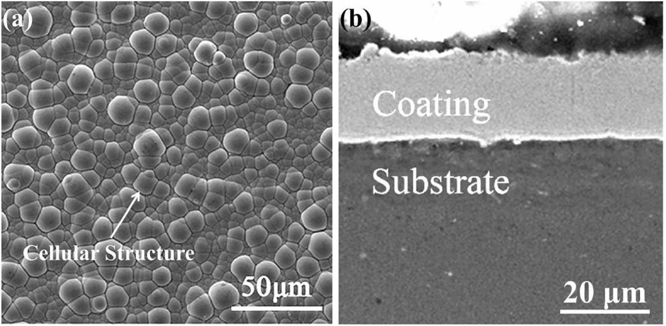 Figure 42: 
							Morphology of electroless Ni–P: (a) surface, (b) cross-section (Guo et al. 2017). Reprinted with permission; copyright 2017 John Wiley and Sons.
						