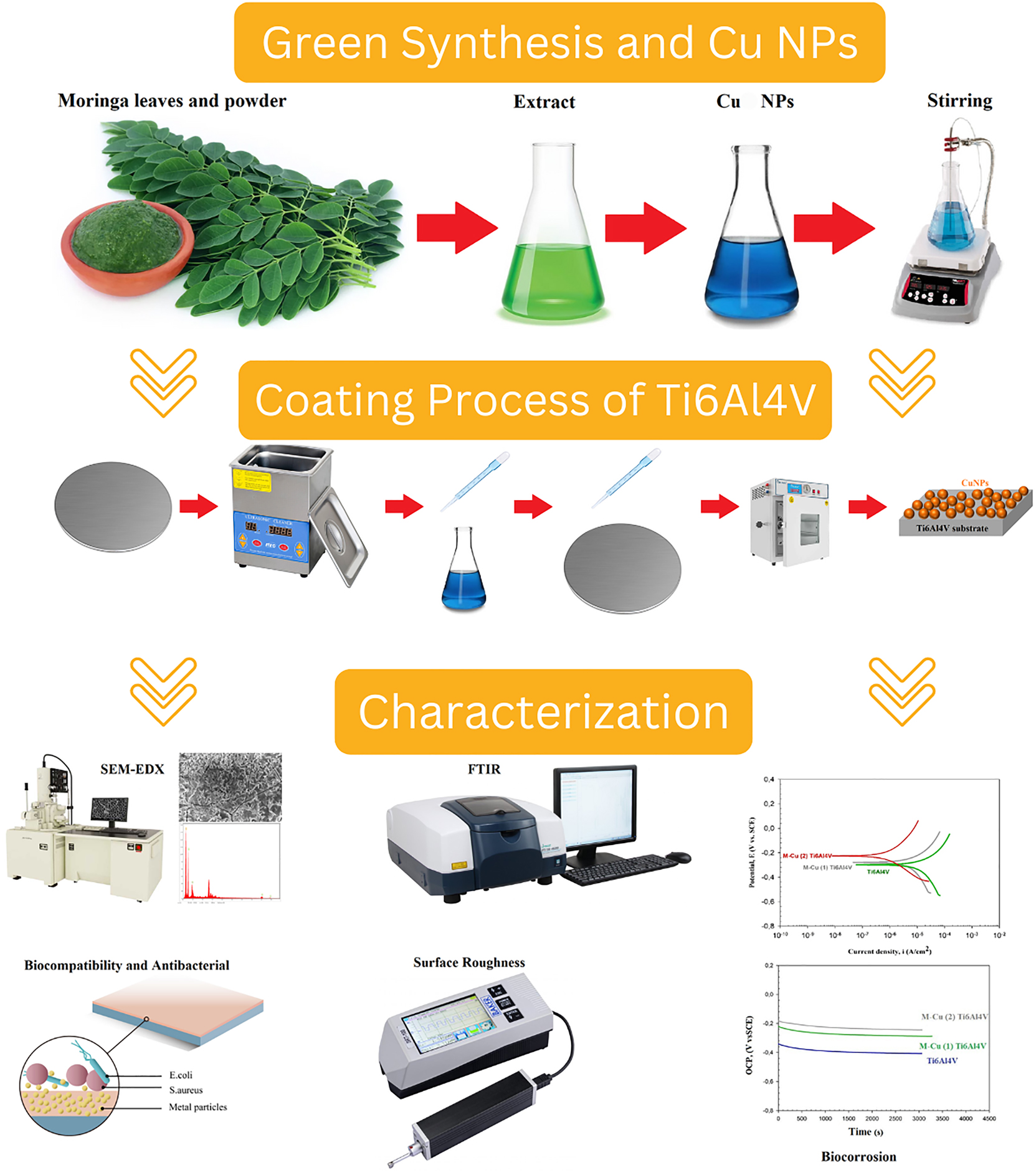 Figure 1: 
Schematic view of the synthesis, the coating, and the characterization steps.
