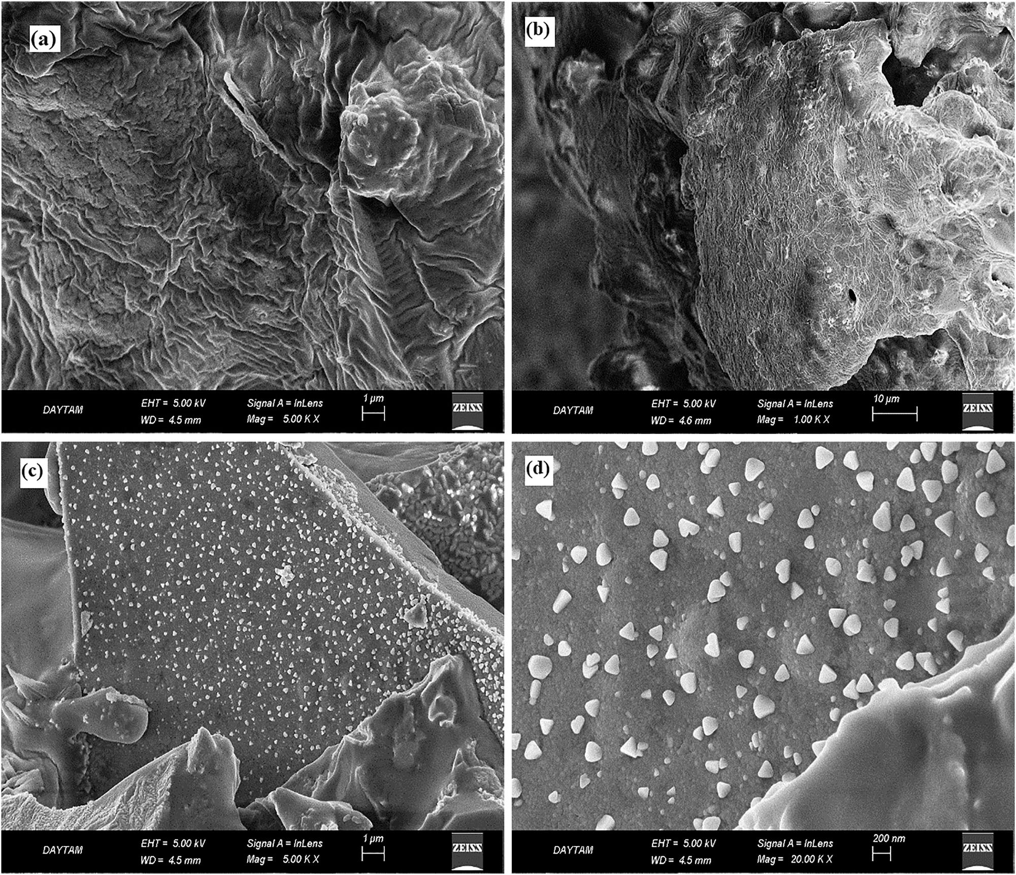 Figure 5: 
SEM images of (a) and (b) the pure Moringa extract; (c) and (d) Moringa extract-based CuNPs.
