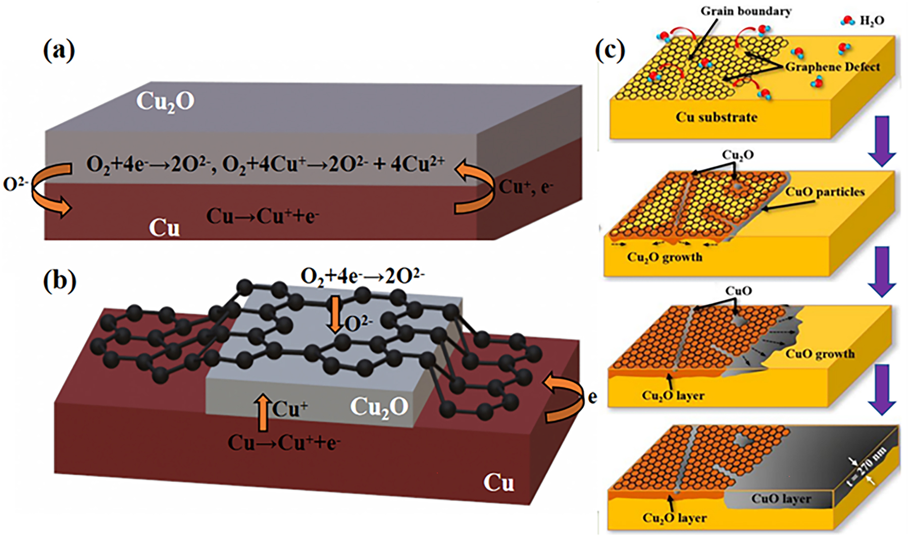 Figure 4:
Schematic representation of the corrosion-promoting mechanism of graphene. (a) Electrochemical oxidation of copper in the absence of graphene and (b) the presence of graphene coverage. (c) Schematic diagram of CVD graphene–Cu2O hybrid layer as a protective layer for copper in the long term (Lee et al. 2020). Reprinted with permission from American Chemistry Society.