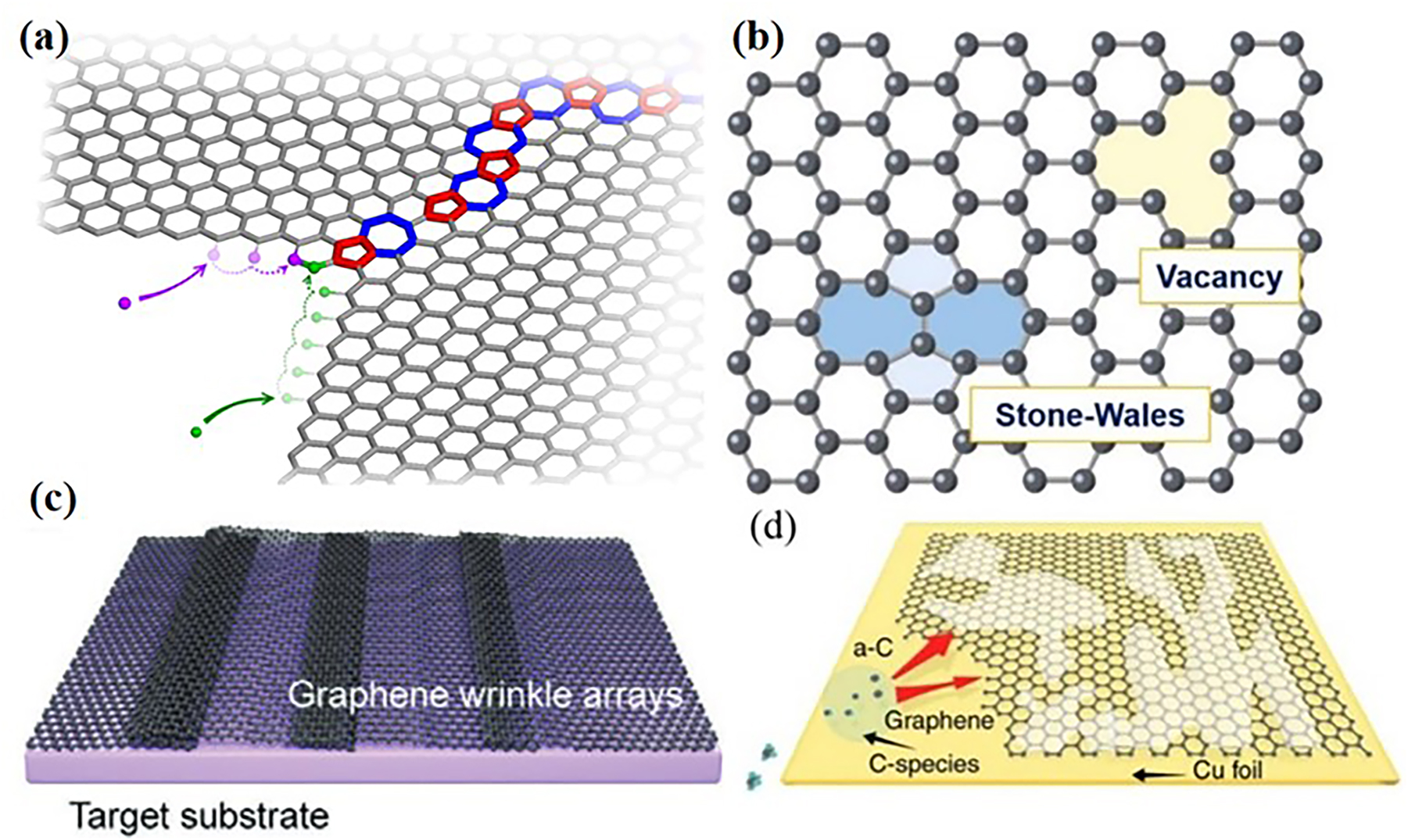 Figure 5:
Corrosion originators of CVD graphene coating. (a) Graphene grain boundaries (Bets et al. 2021). Reprinted with permission from American Chemistry Society. (b) Vacancies and S–W defects (Zhang et al. 2021). Reprinted with permission from Elsevier. (c) Graphene wrinkle arrays (Song et al. 2022). Reprinted with permission from Wiley Online Library. (d) Surface contamination (Lin et al. 2019). Reprinted with permission from Nature.