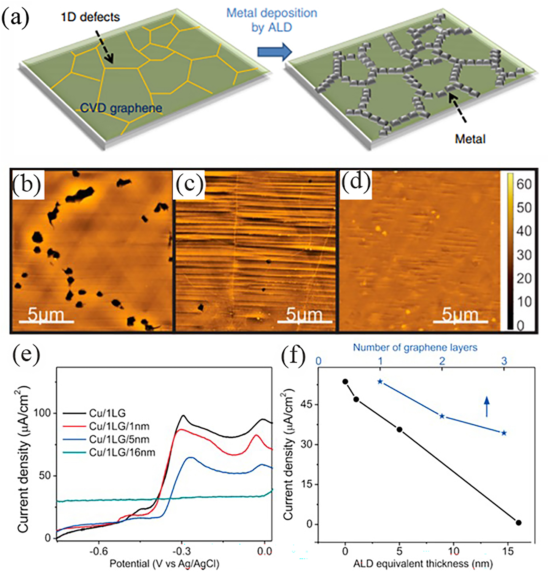 Figure 6:
ALD healing of graphene defects for optimizing anti-corrosion properties. (a) Schematic diagram of the selective growth of platinum on one-dimensional defects in CVD graphene, where various linear defects such as grain boundaries, cracks and folded structures are present. By using atomic layer deposition, metals can be selectively deposited on one-dimensional defect sites in graphene. A graphene–metal hybrid structure can be obtained by this process (Kim et al. 2014). Reprinted with permission from Nature. (b–d) Representative AFM height images of etched graphene: (b) none, (c) ALD film with 5 nm and (d) ALD film with 16 nm. (e) CV spectra of Cu/graphene/ALD samples with different ALD thicknesses. (f) CuO peak currents of Cu/graphene/ALD samples with different ALD thicknesses and comparison with peak currents of Cu/graphene samples with 1–3 layers of graphene (Hsieh et al. 2014). Reprinted with permission from American Chemistry Society.