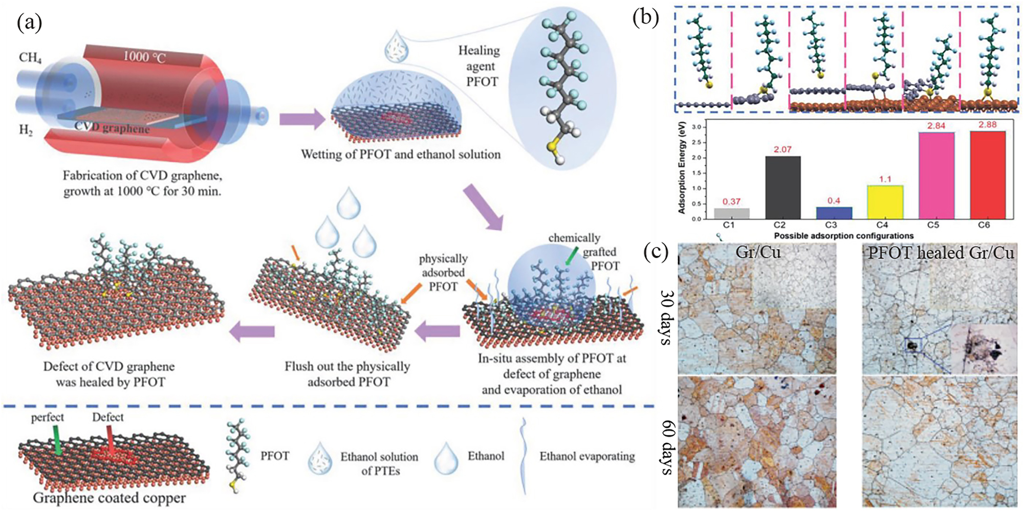 Figure 7:
Polymer self-assembly healing of graphene defects for optimizing anti-corrosion properties. (a) Fast healing strategies of the defects in CVD graphene coating. (b) The adsorption configurations (C1–C6), energies (ΔE
ads) of PFOT molecule on pristine/defective graphene coating, where both free-standing and Cu-supported graphene are compared to reveal the effect of Cu substrate. (c) The optical images of pristine graphene-coated Cu and PFOT-healed graphene-coated Cu surface after the exposure to ambient condition of 20–25 °C with a relative humidity at 50–60 % for 30 (upper panels) and 60 (lower panels) days (Wu et al. 2021b). Reprinted with permission from Wiley Library.