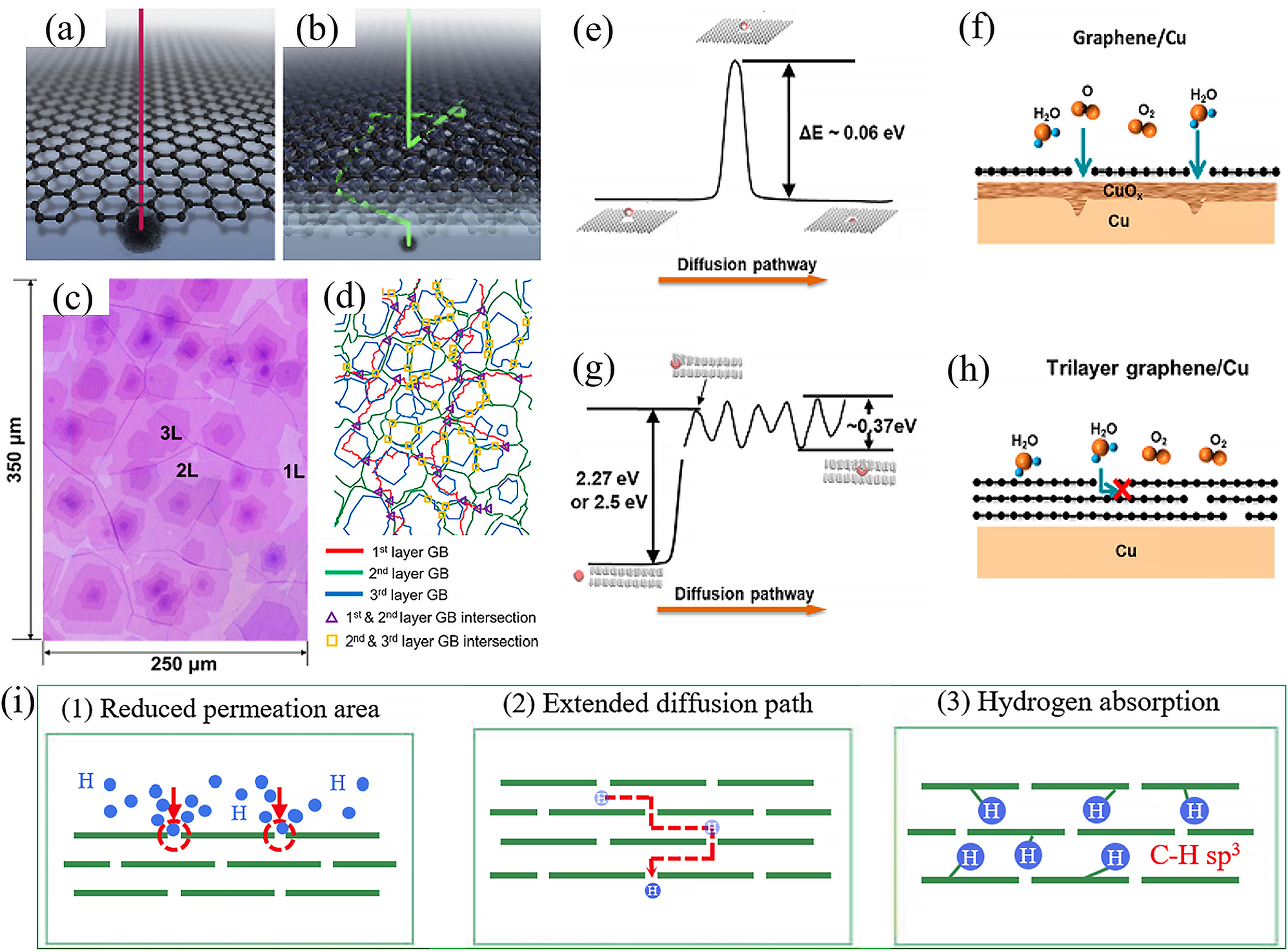 Figure 8:
Anti-corrosion optimization mechanisms of multi-layer graphene. (a, b) Schematic diagrams of the diffusion paths of single-layer (a) and multi-layer (b) graphene. In the case of multi-layer films, the diffusion paths for oxygen and water molecules are longer (Stoot et al. 2015). Reprinted with permission from Elsevier. (c) Optical image of a large area of FLG film on a SiO2/Si substrate and (d) corresponding GB lines, with the intersection of the different layers marked in the diagram. (e) Schematic diagram of water molecules diffusing through the defective SLG and the calculated energy barrier. (f) Schematic showing the easy diffusion of reactive species such as oxygen and water molecules through the SLG and oxidized copper surface. (g) Schematic and calculated energy barrier for the diffusion of water molecules through the defective BLG. (h) Schematic showing the difficulty of diffusion of oxygen and water molecules through polycrystalline trilayer graphene and into contact with the underlying copper surface, even though the trilayer graphene contains multiple GB defects (Zhao et al. 2021). Reprinted with permission from American Chemical Society. (i) Internal hydrogen resistance mechanism of the MLG coating (Shi et al. 2022). Reprinted with permission from Elsevier.
