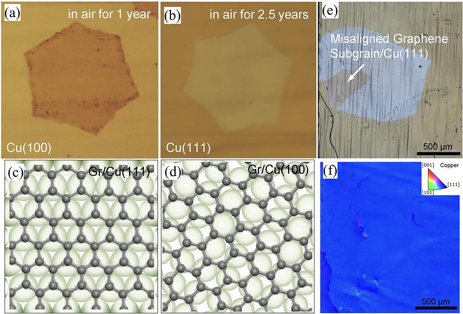 Figure 9:
Interface coupling of CVD graphene growth and its anti-corrosion properties. (a) Optical image of graphene-coated copper (100) after 1 year of oxidation under ambient conditions. (b) Optical image of graphene-coated copper (111) after 2.5 years of oxidation under ambient conditions. (c) Schematic representation of the graphene lattice on Cu(111). (d) Schematic representation of the graphene lattice on Cu(100). Carbon atoms cannot be matched to Cu. The grey (green) spheres indicate the carbon (Cu) atoms in (c) and (d) (Xu et al. 2018). Reprinted with permission from Wiley Online Library. (e) Optical image and (f) corresponding EBSD orientation map of a graphene bi-crystal domain on a single Cu facet with different degrees of oxidation (Luo et al. 2019). Reprinted with permission from American Chemical Society.