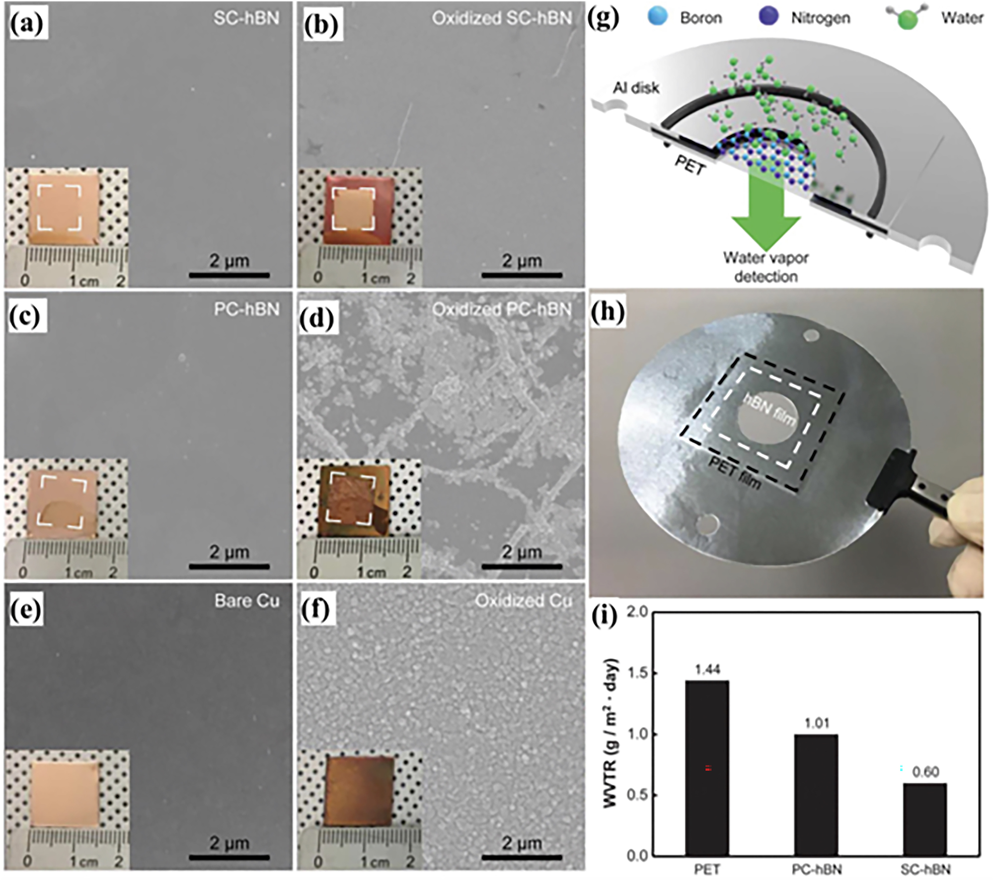Figure 11:
Anti-corrosion properties of h-BN. (a–f) SEM images of SC-hBN-, PC-hBN-covered and bare Cu foils before (a, c and e) and after (b, d and f) oxidation in air at 300 °C for 1 h. (g, h) Schematic and photograph for the WVTR. (i) WVTR values of PET, PC-hBN and SC-hBN samples (Lee et al. 2018). Reprinted with permission from Science.